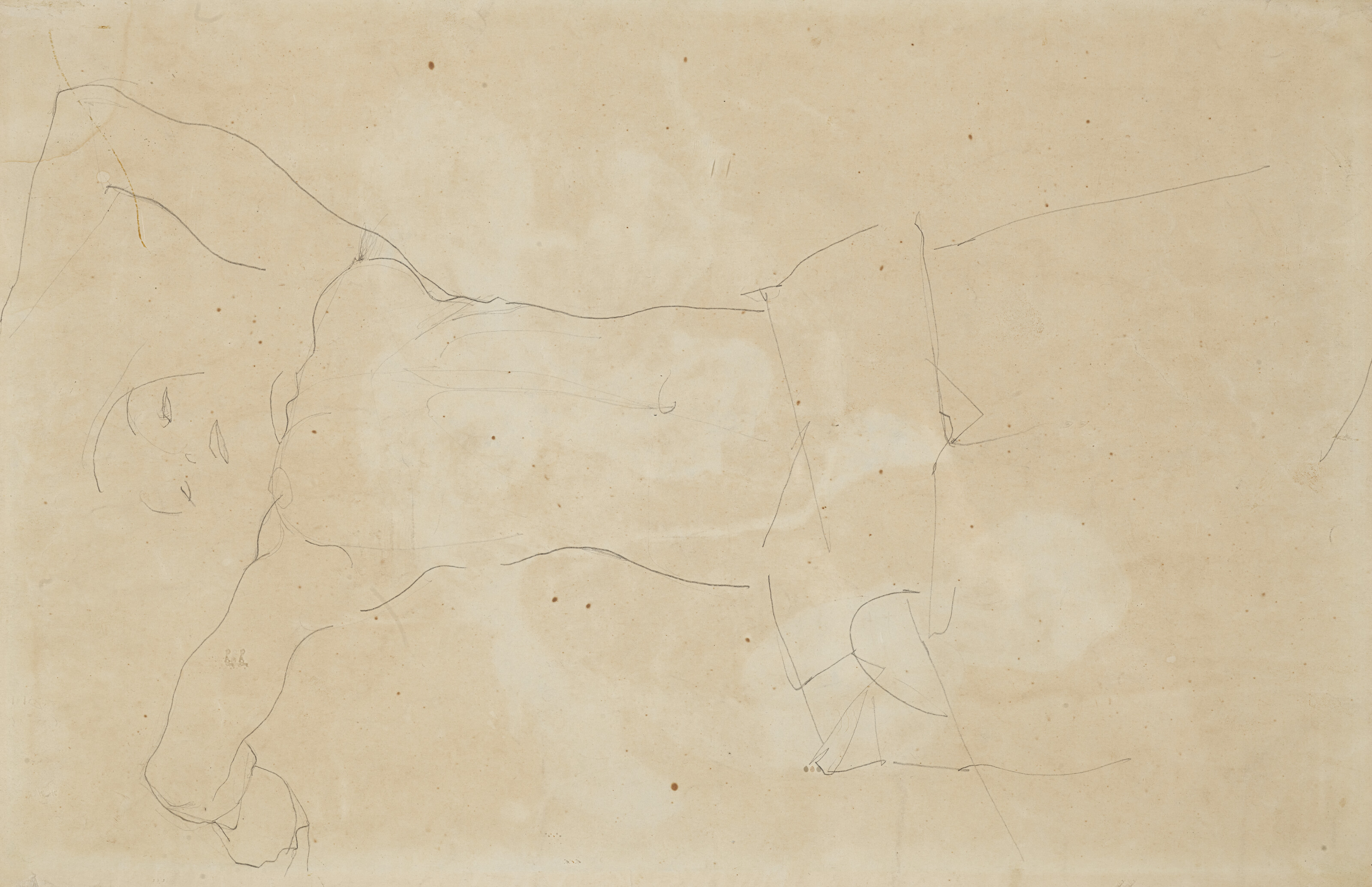 Egon Schiele — Туловище хоккеиста вайблихера (прямая сторона); нижняя часть туловища Вайблихера (обратная сторона), изображение 3