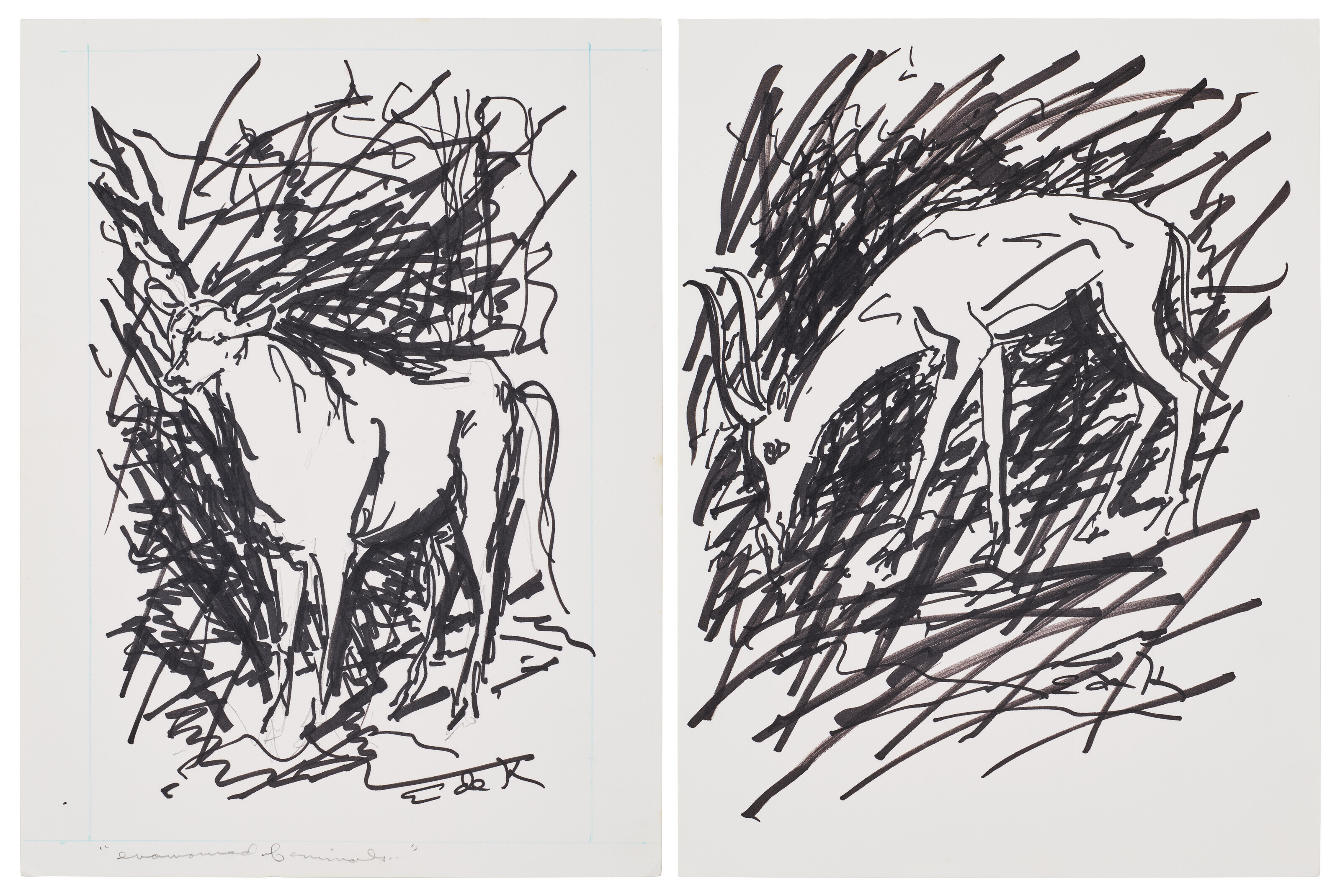 Elaine de Kooning — Влюбленный в животных и Канну [Две работы]