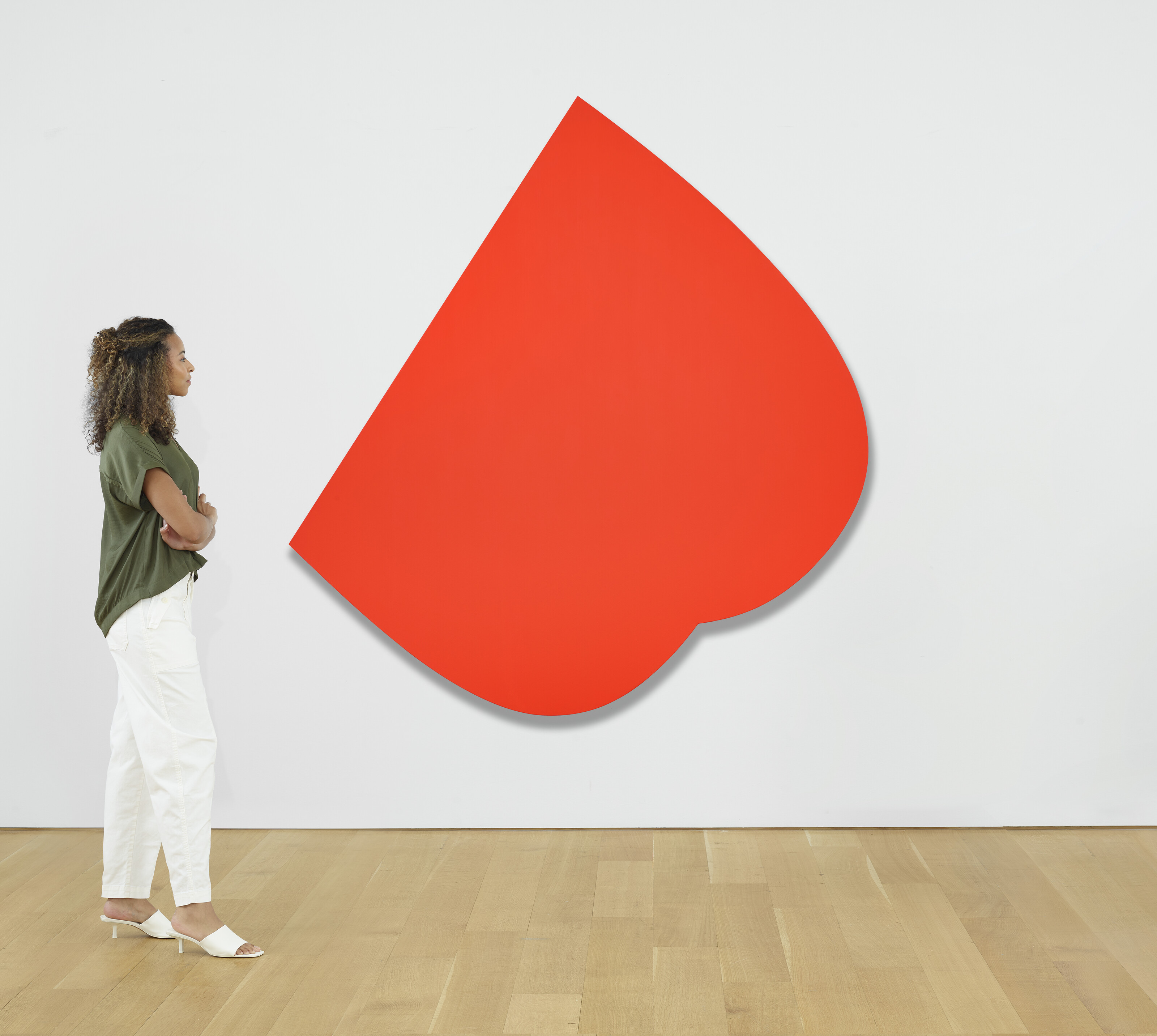 Ellsworth Kelly — Две кривые, изображение 4