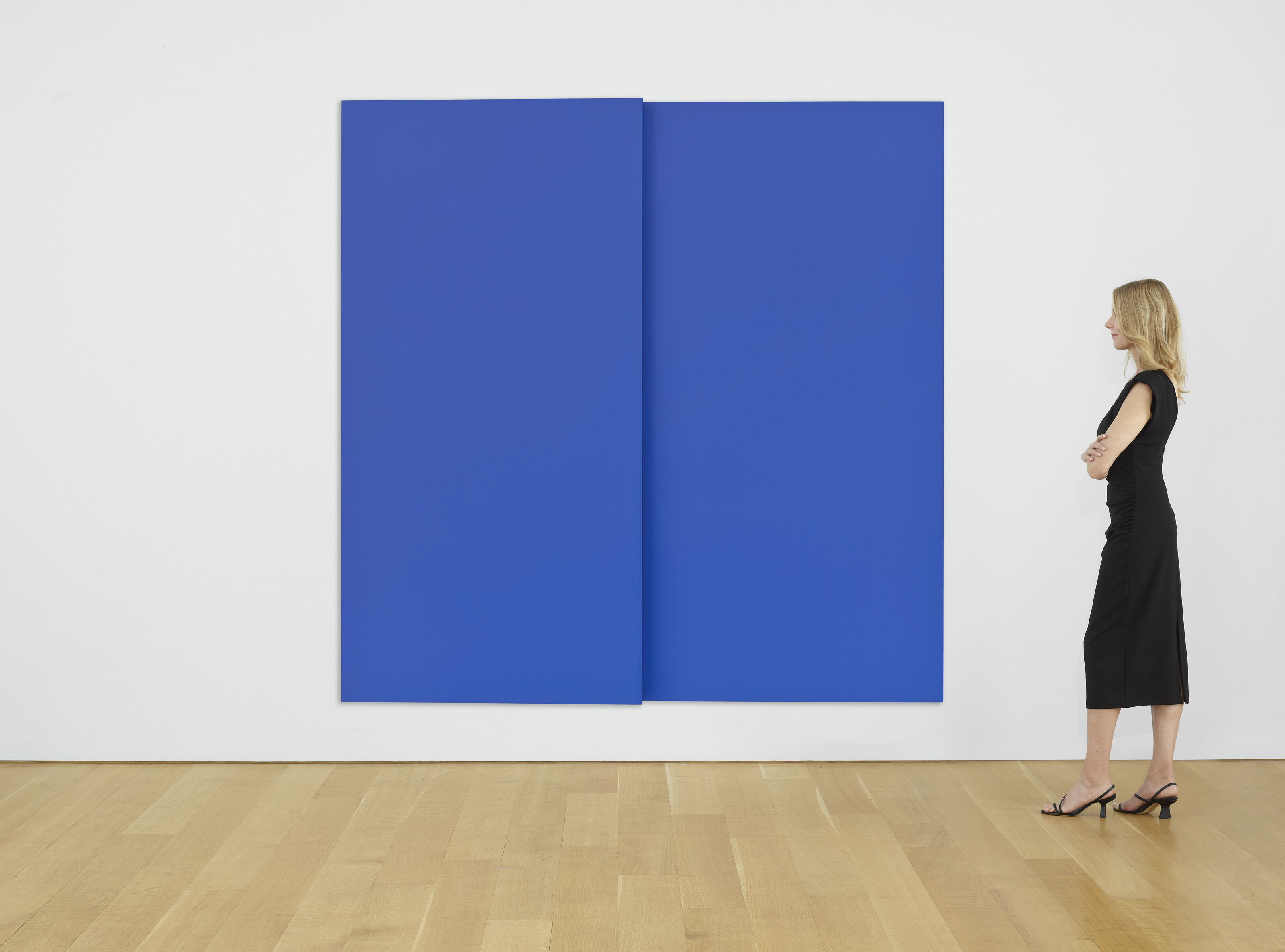 Ellsworth Kelly — Синяя таблетка, изображение 4