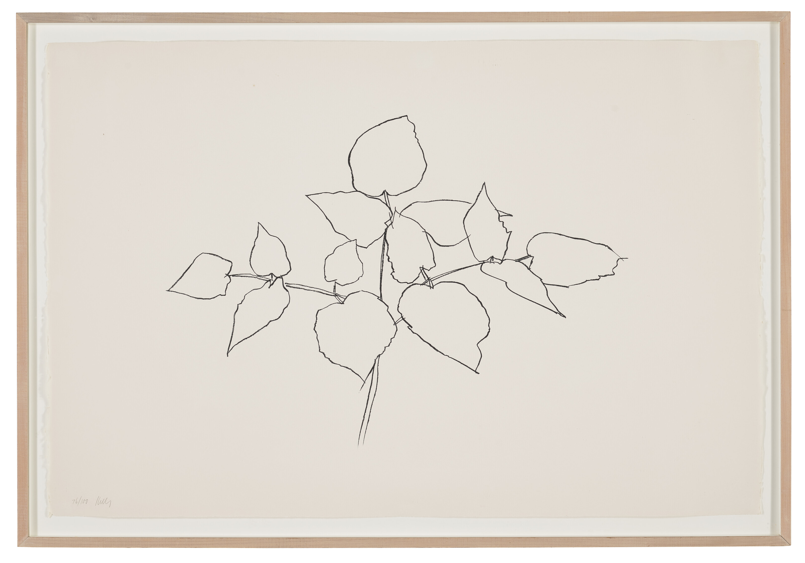 Ellsworth Kelly — Лесное растение, изображение 2