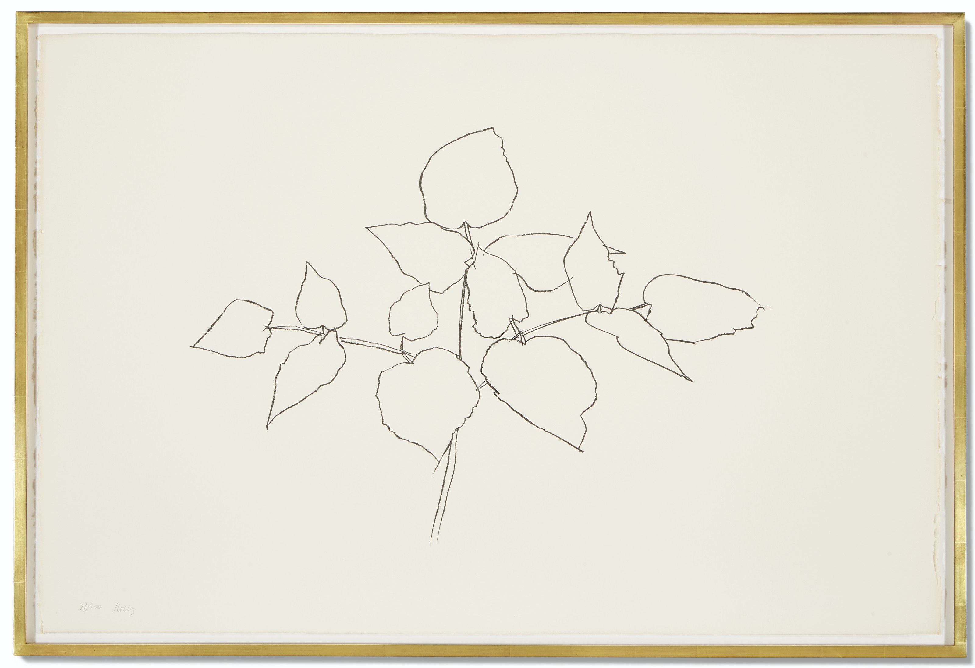 Ellsworth Kelly — Лесное растение