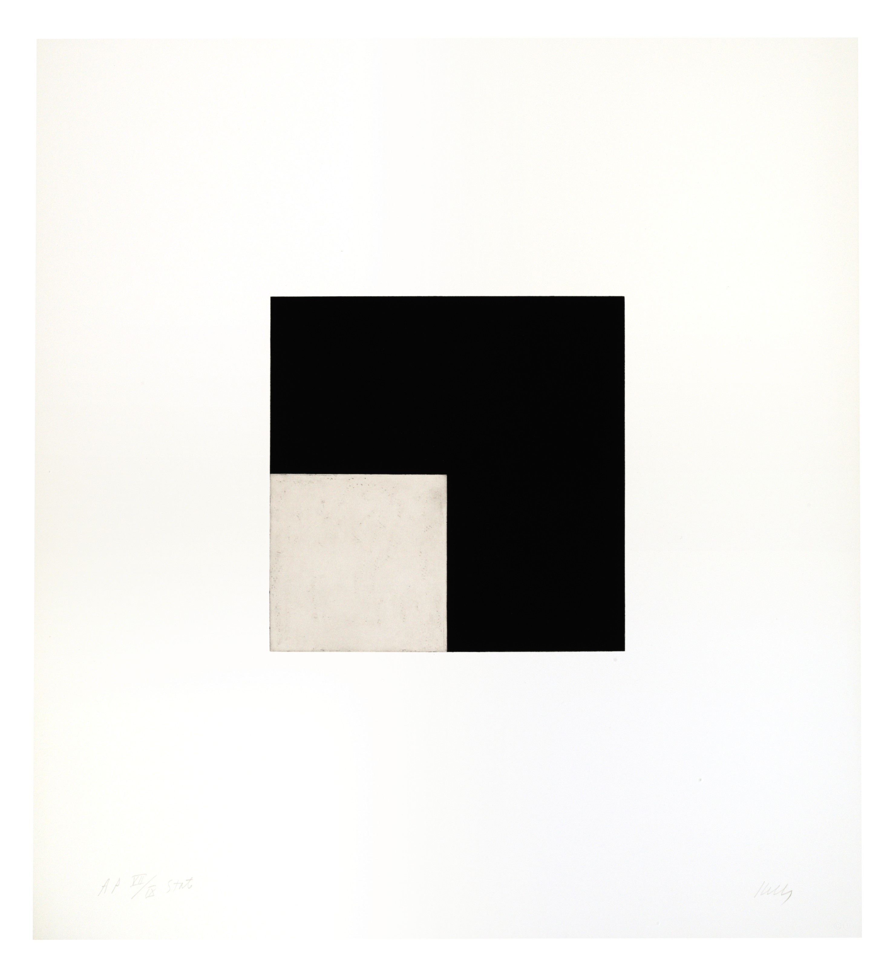 Ellsworth Kelly — Серия Concorde (штат), изображение 4