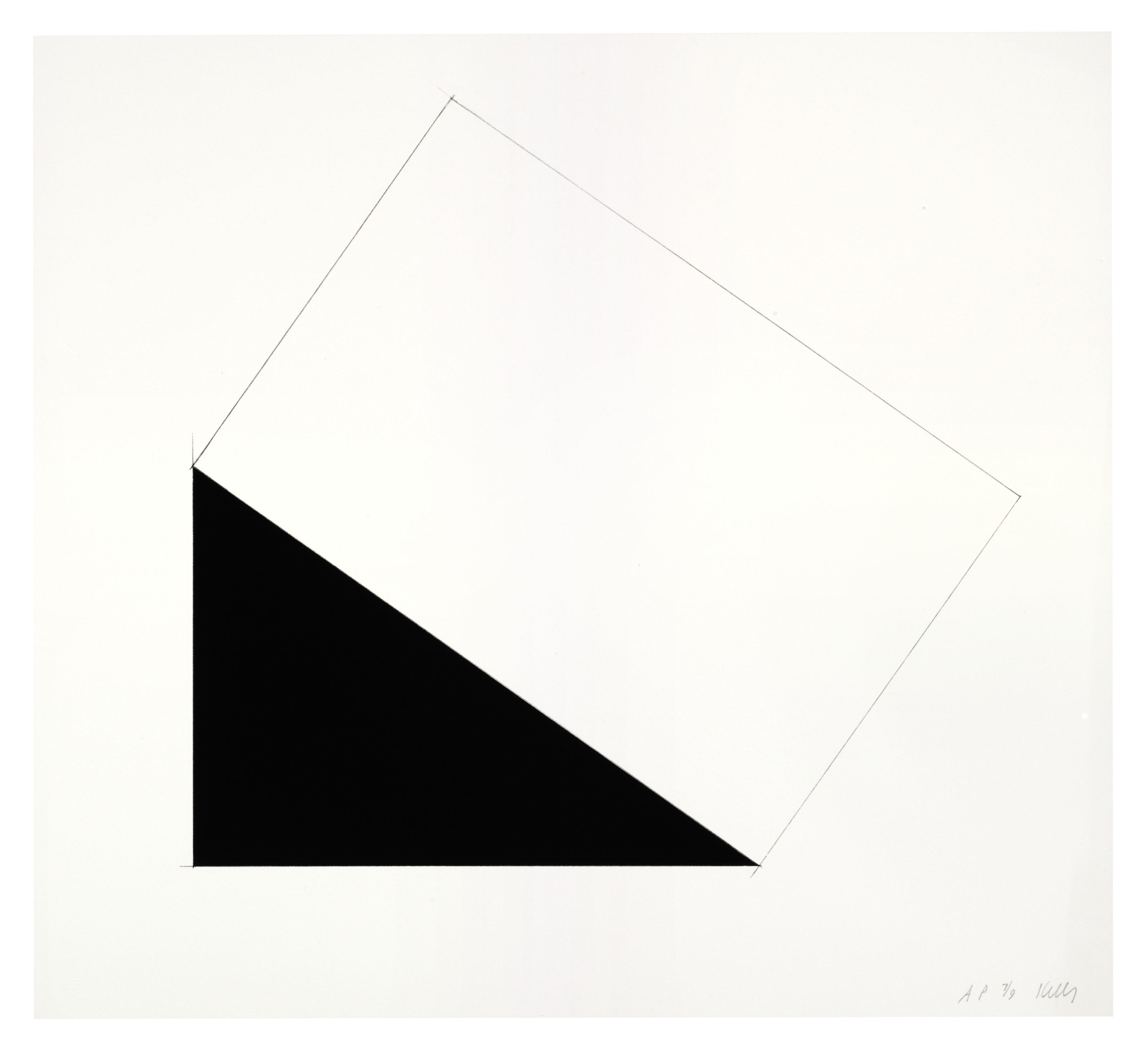 Ellsworth Kelly — Серия из семи литографий, изображение 5