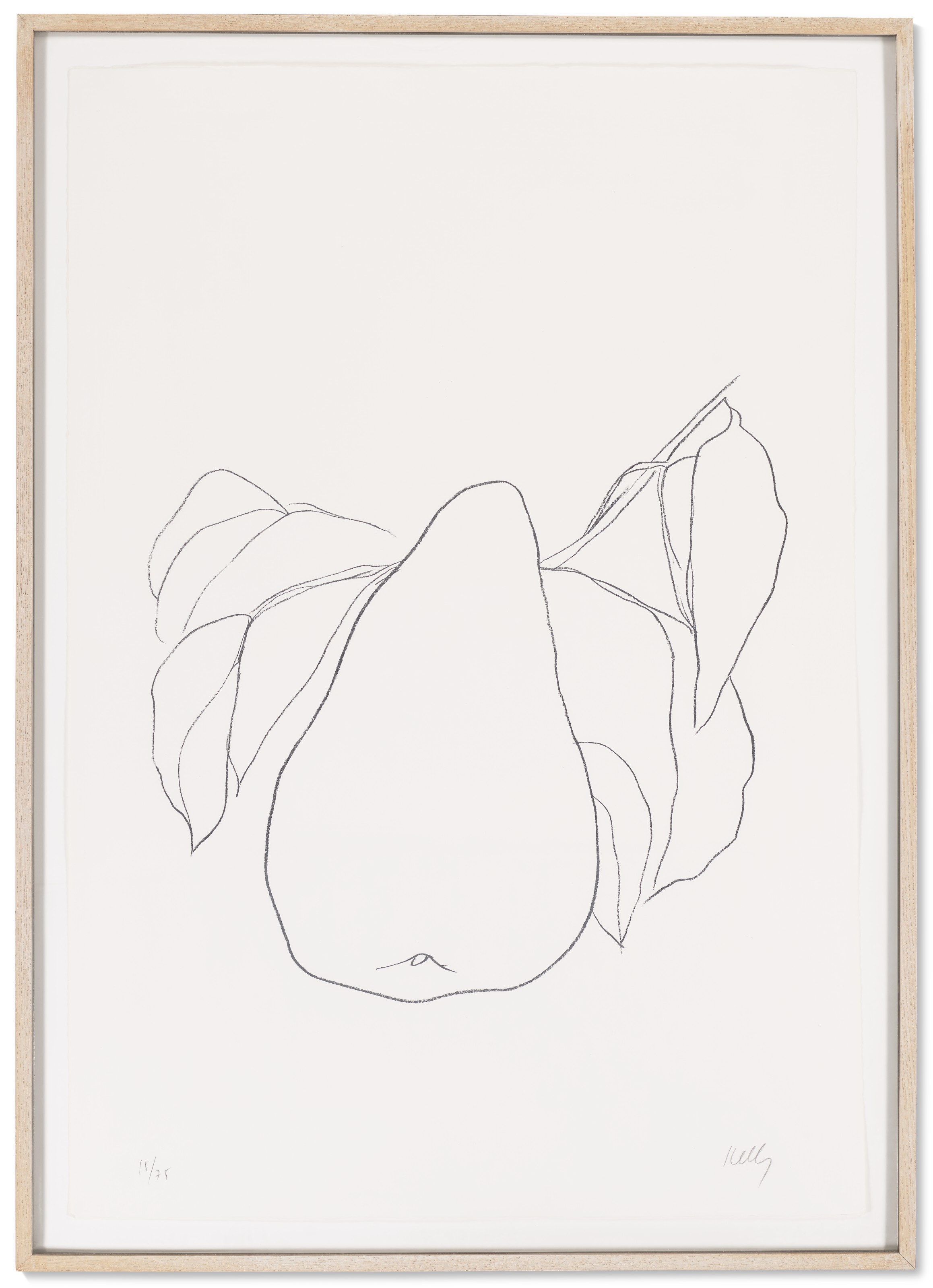 Ellsworth Kelly — Груша III, из серии литографий растений, изображение 2