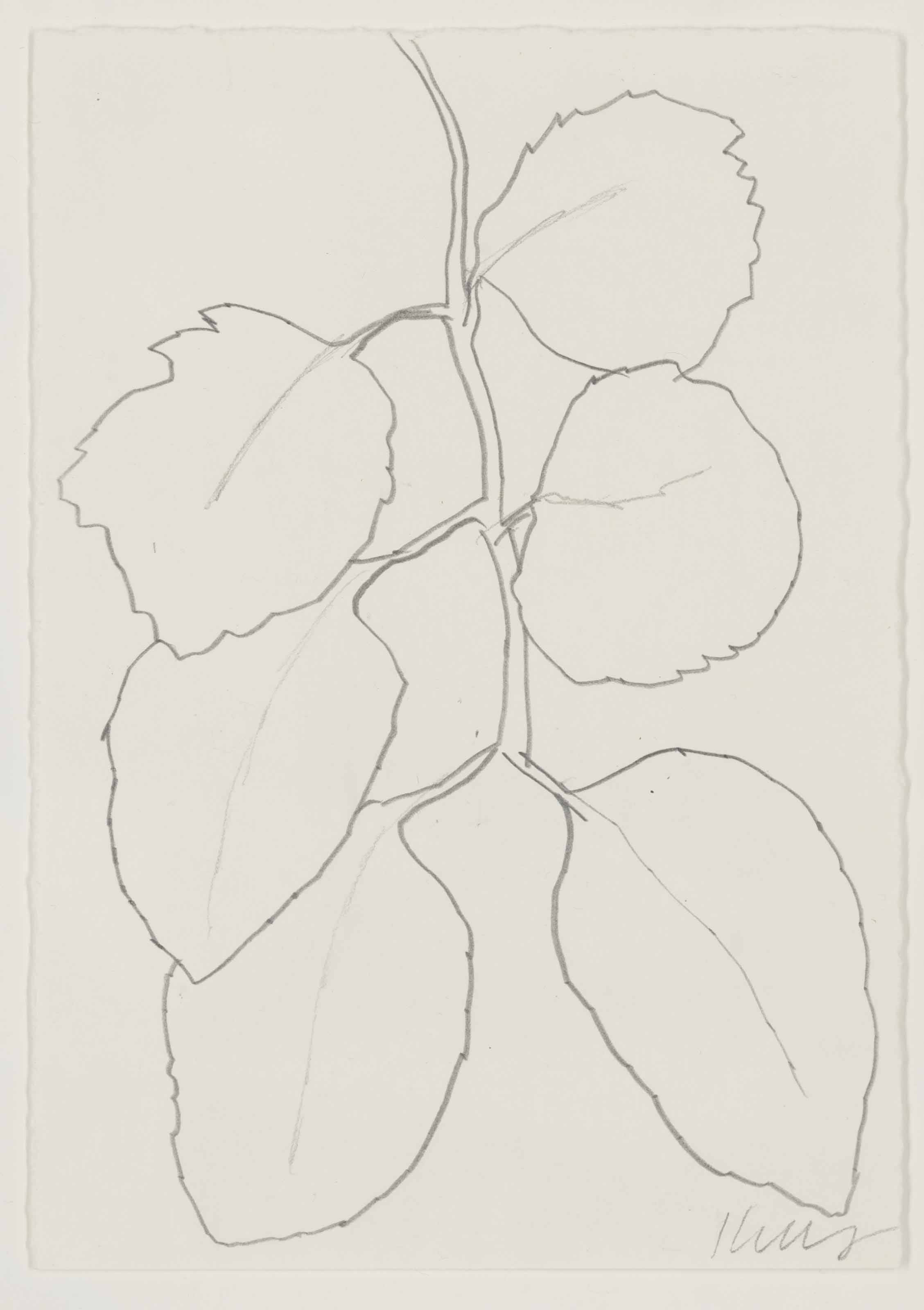 Ellsworth Kelly — Без названия