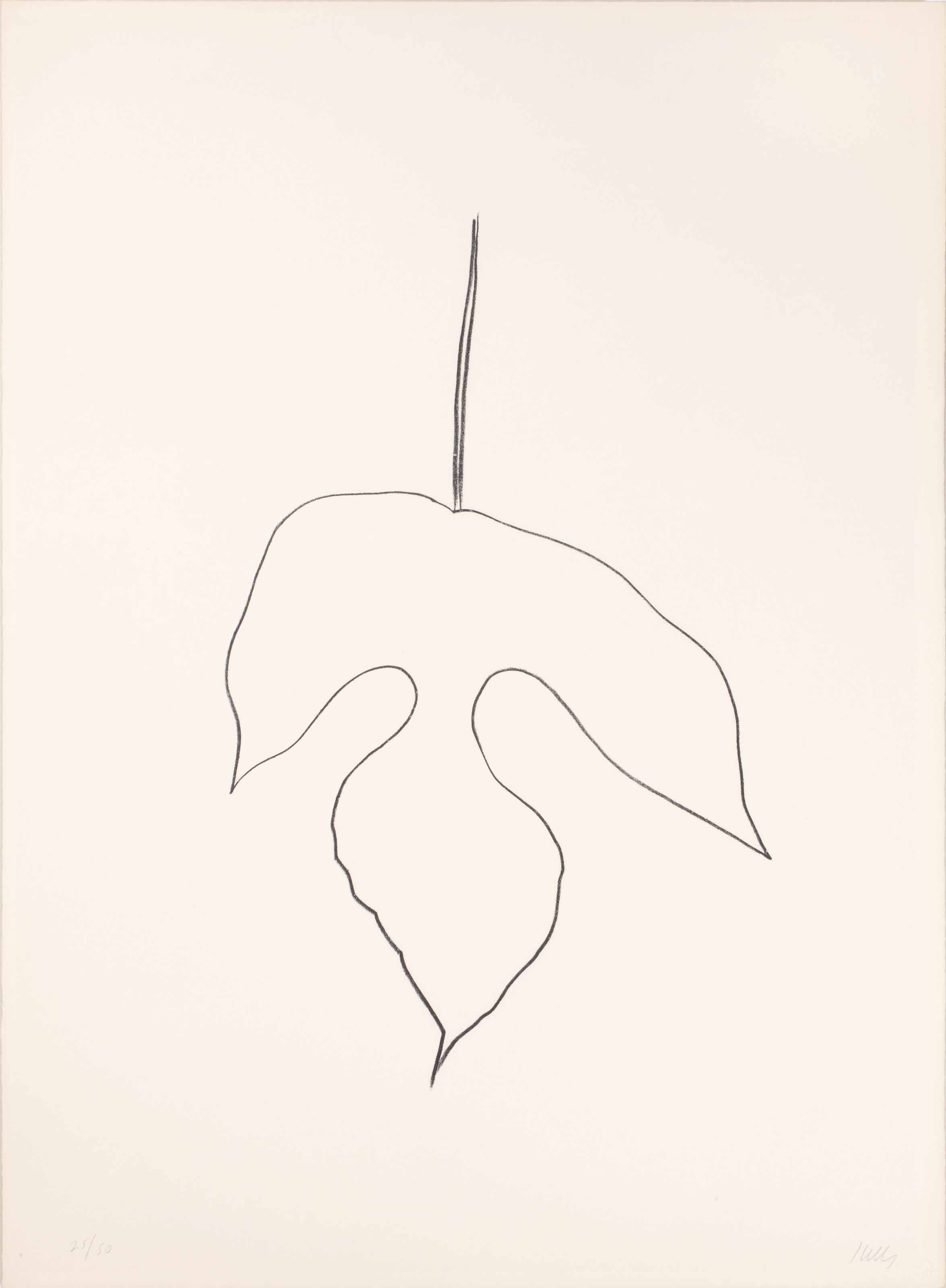 Ellsworth Kelly — Лист шелковицы
