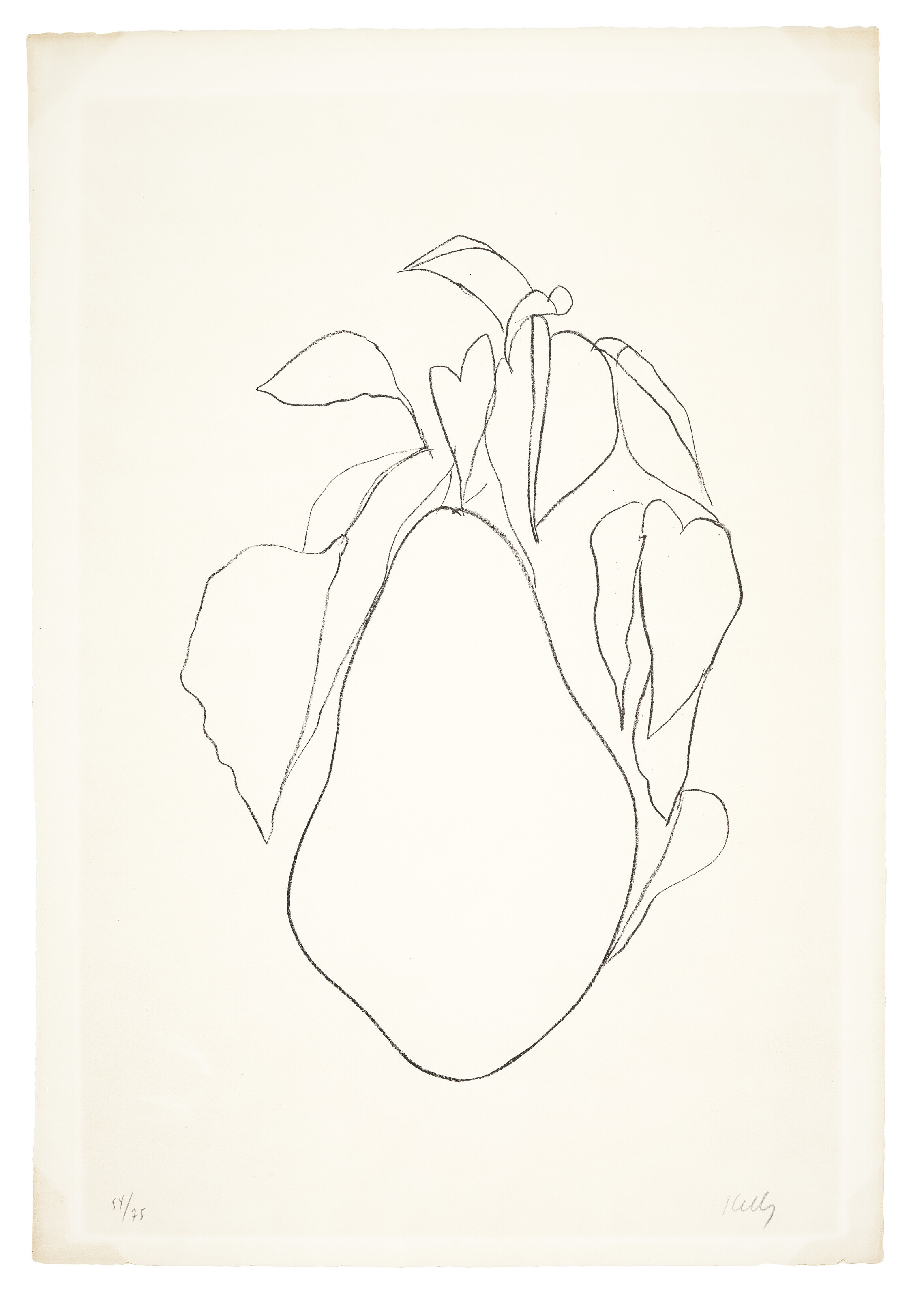 Ellsworth Kelly — Груша I, из серии литографий растений, изображение 3