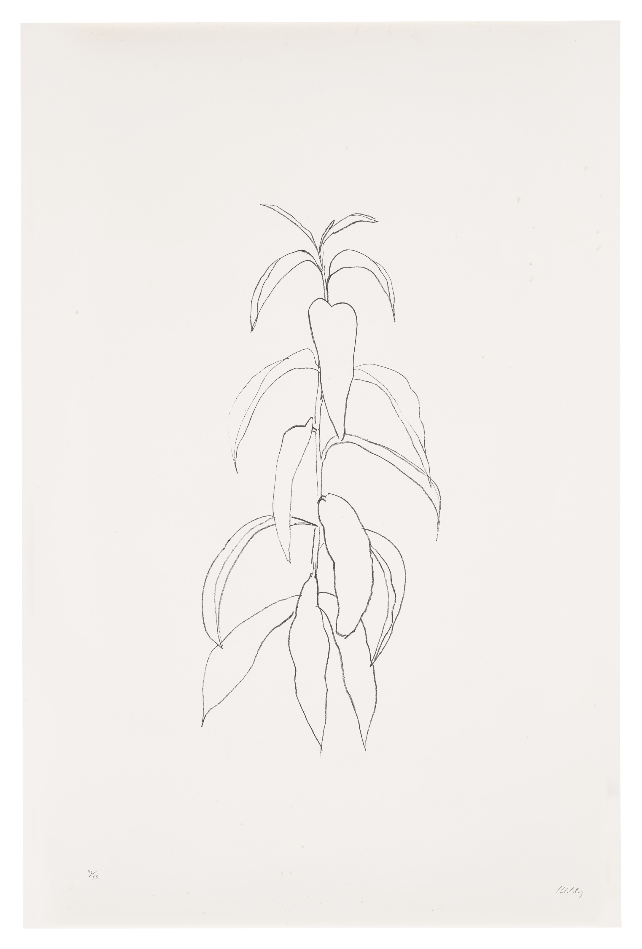 Ellsworth Kelly — Ветка персика, из листьев, изображение 1