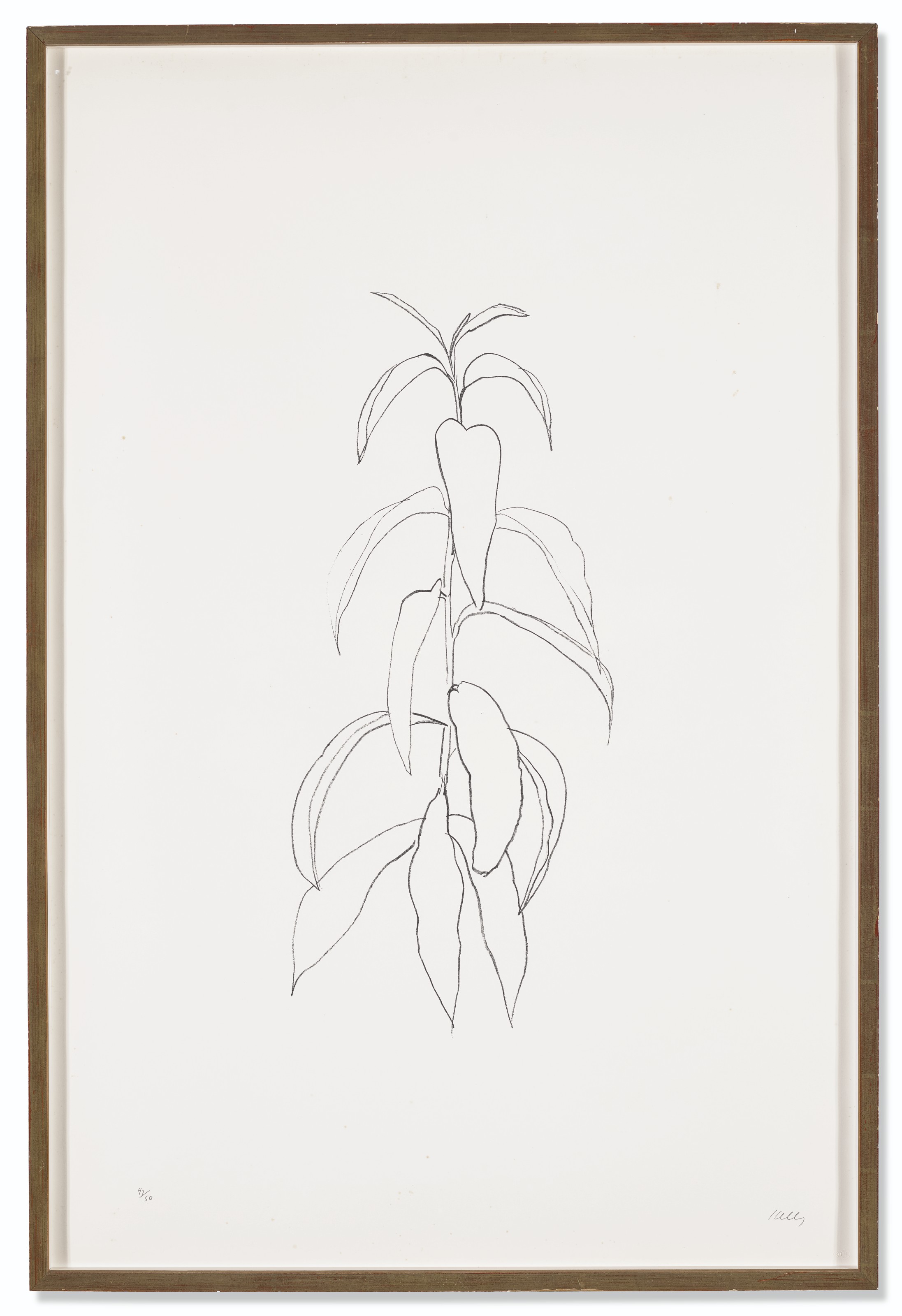 Ellsworth Kelly — Ветка персика, из листьев, изображение 2