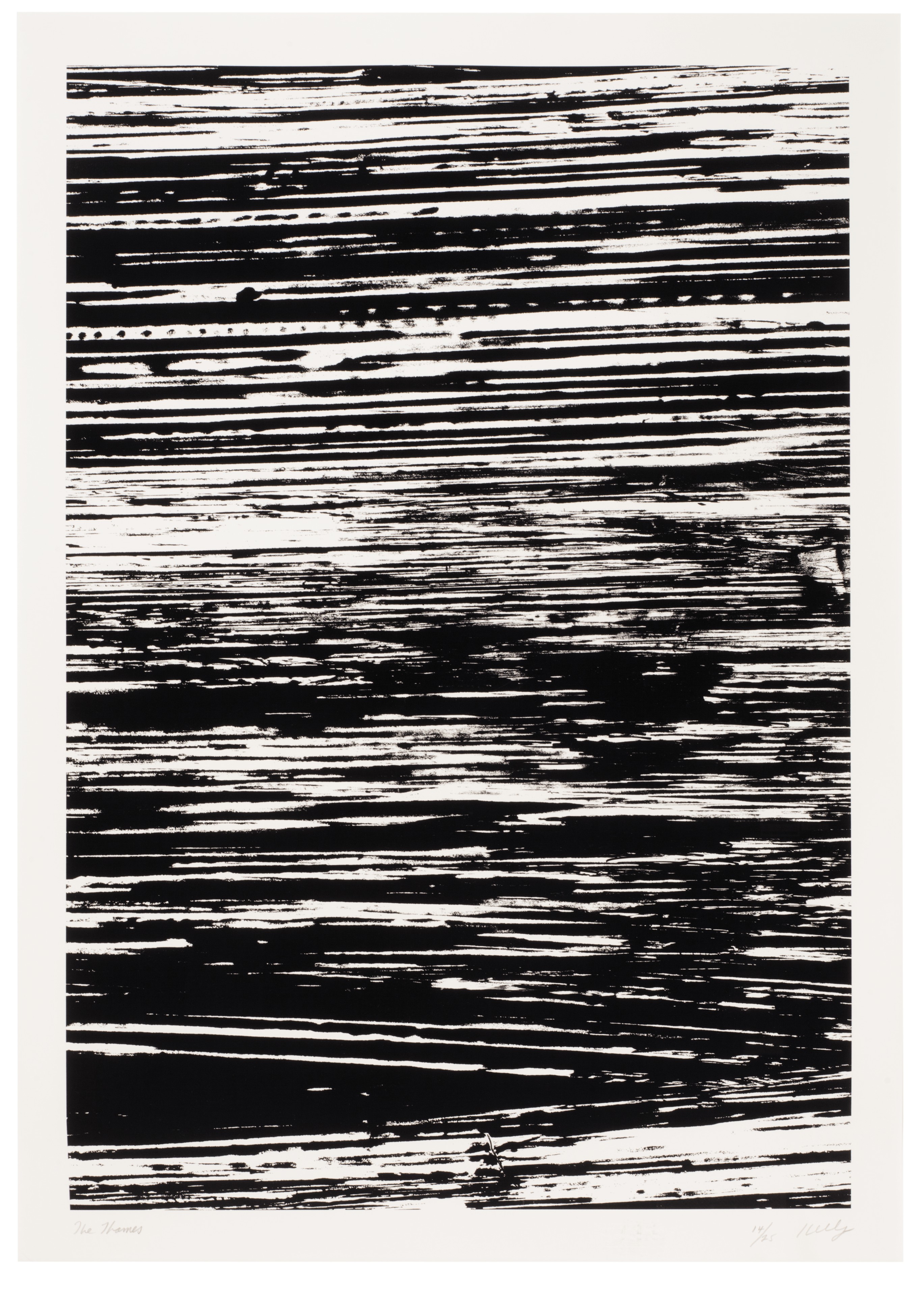 Ellsworth Kelly — Государства реки, изображение 3