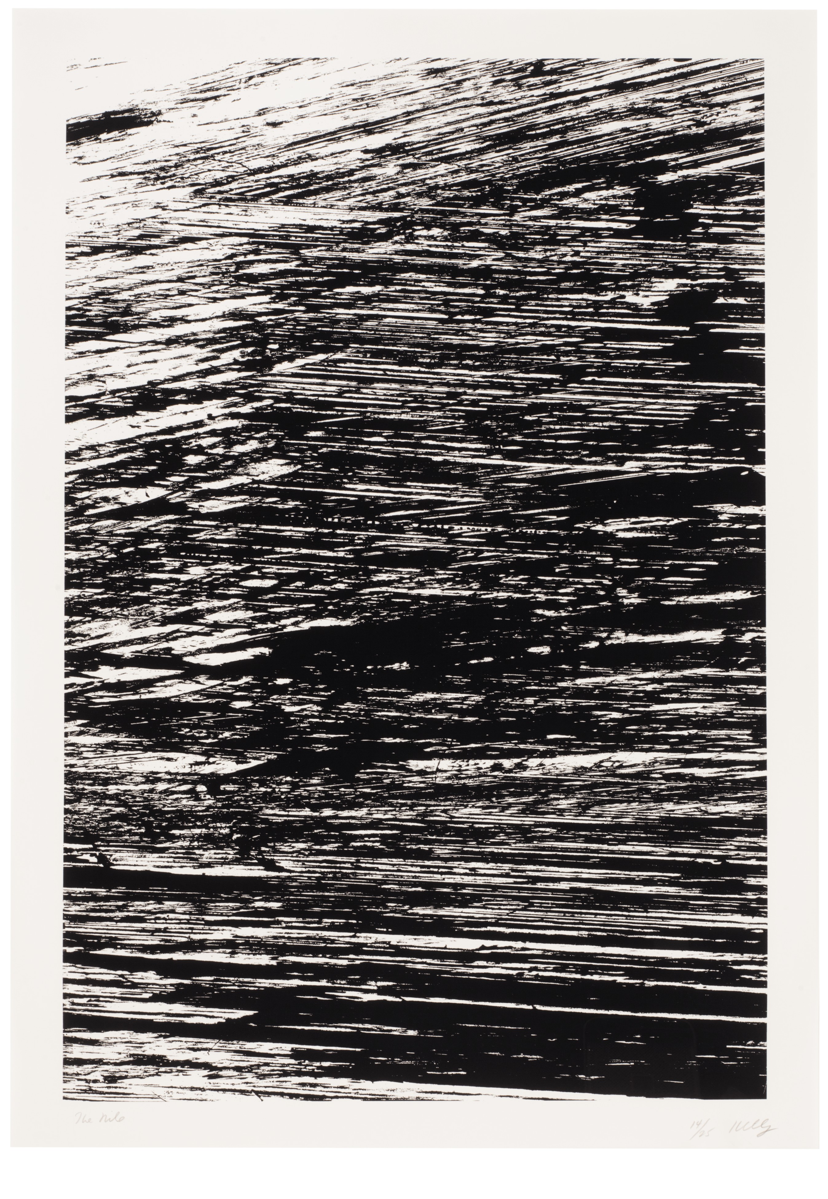 Ellsworth Kelly — Государства реки, изображение 5
