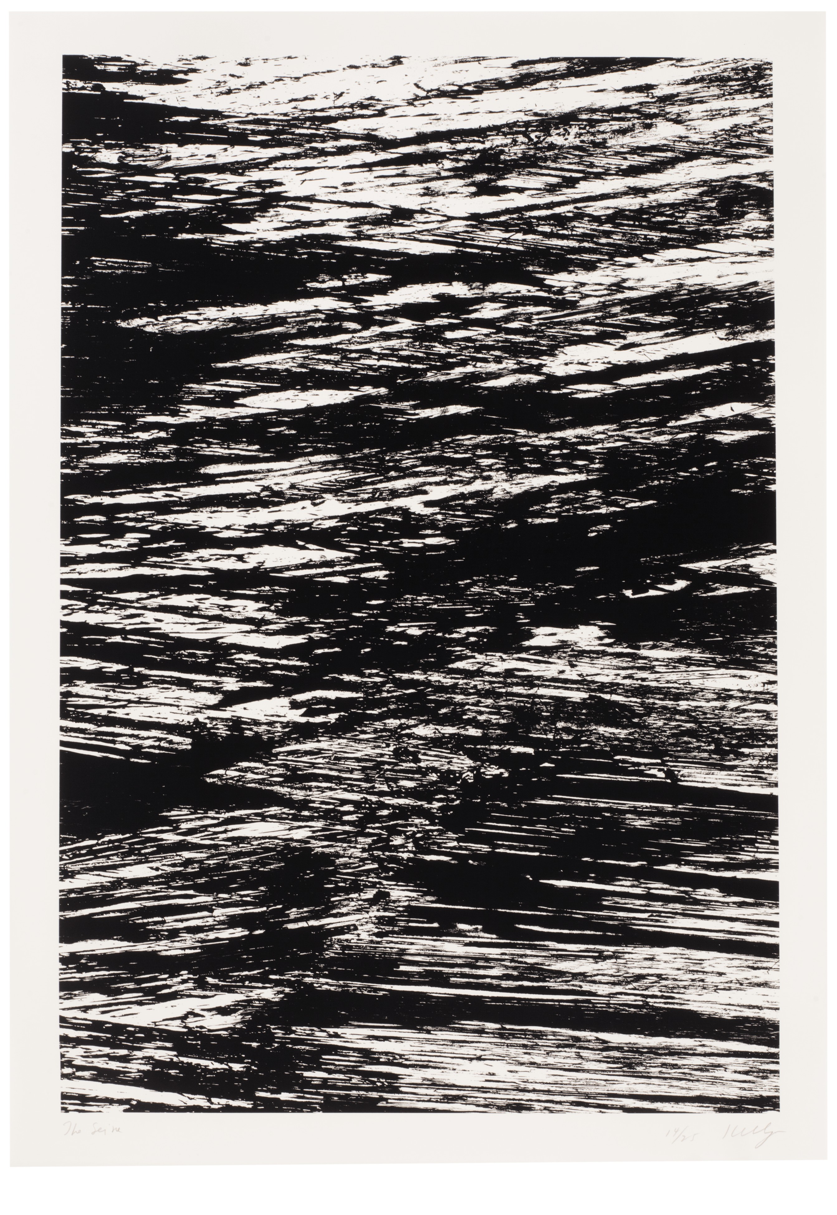 Ellsworth Kelly — Государства реки, изображение 6
