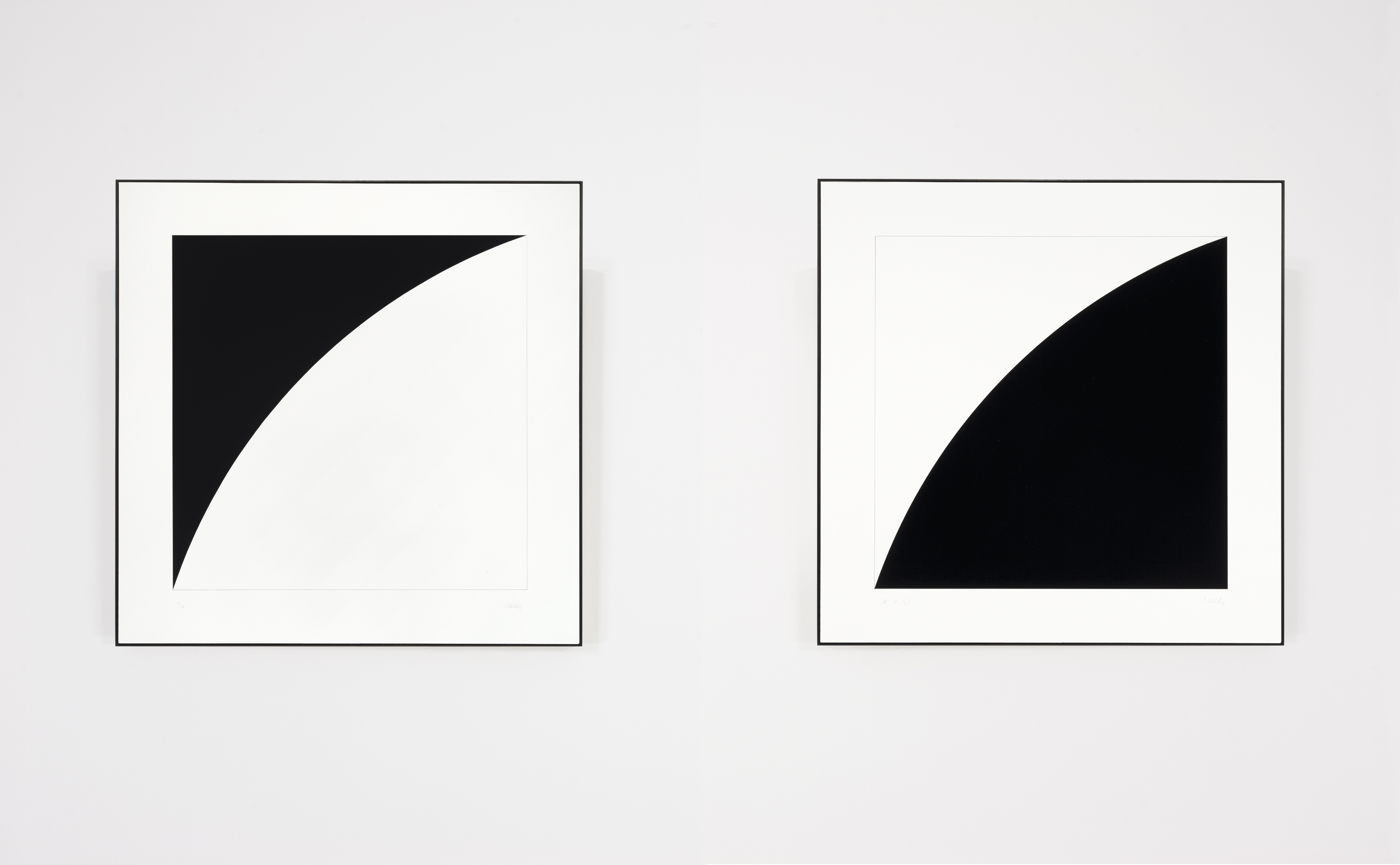Ellsworth Kelly — Первая серия кривых: две пластины, изображение 2