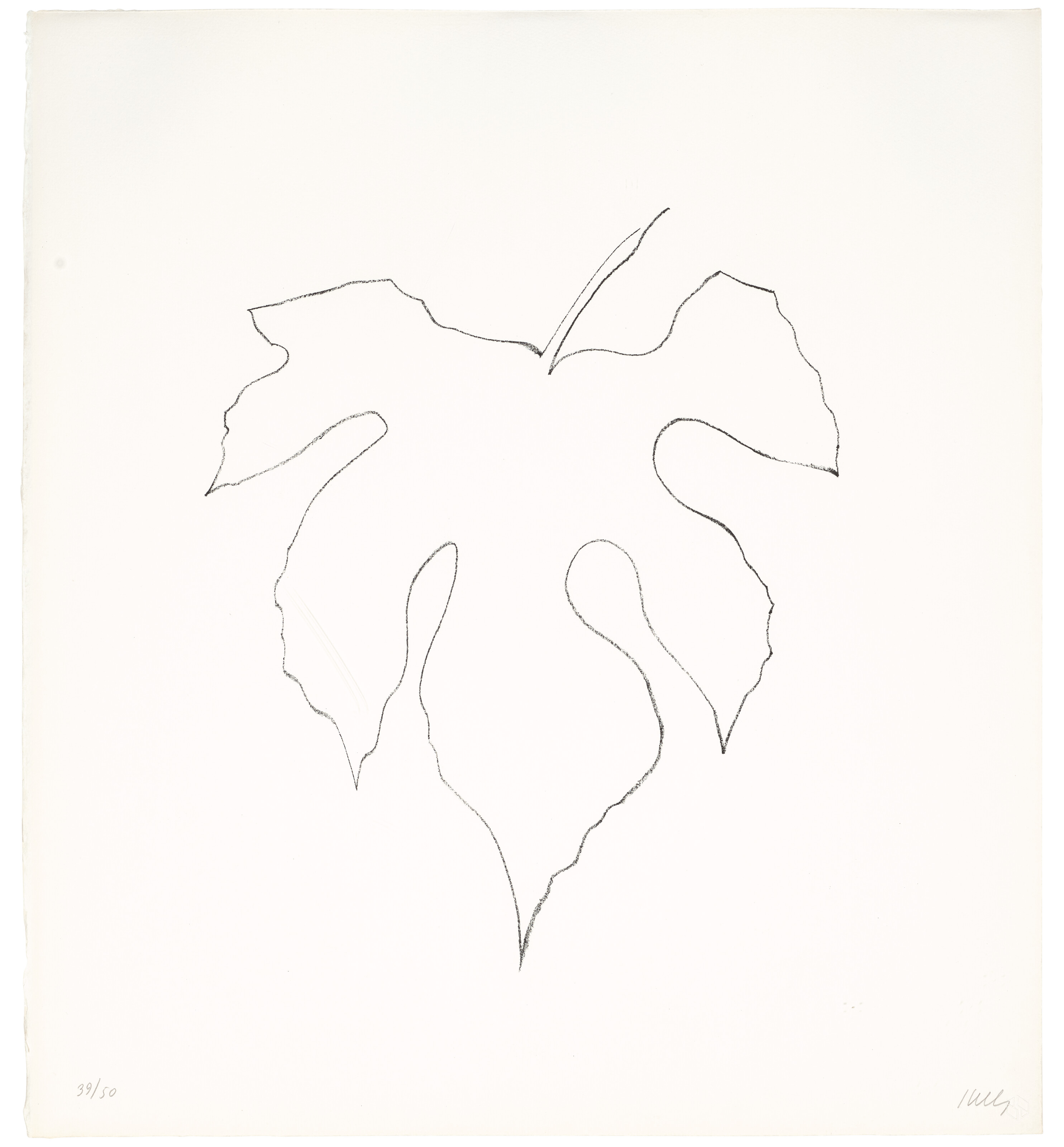 Ellsworth Kelly — Листья дикого винограда