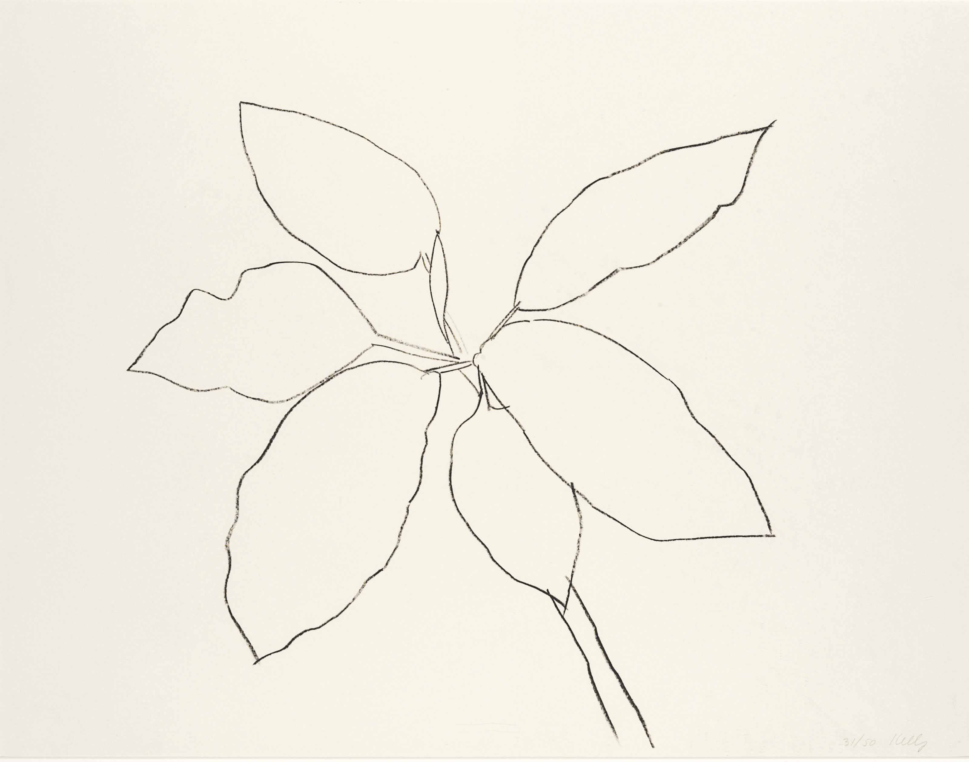 Ellsworth Kelly — Тропическое растение Сен-Мартен (A. 192)