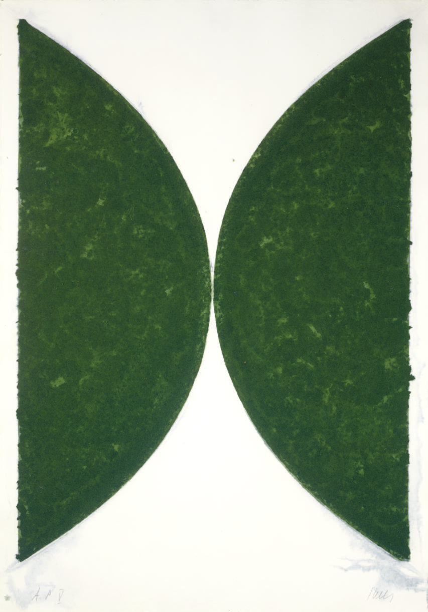 Ellsworth Kelly — Изображение на цветной бумаге II (темно-зеленая кривая) (A. 142)