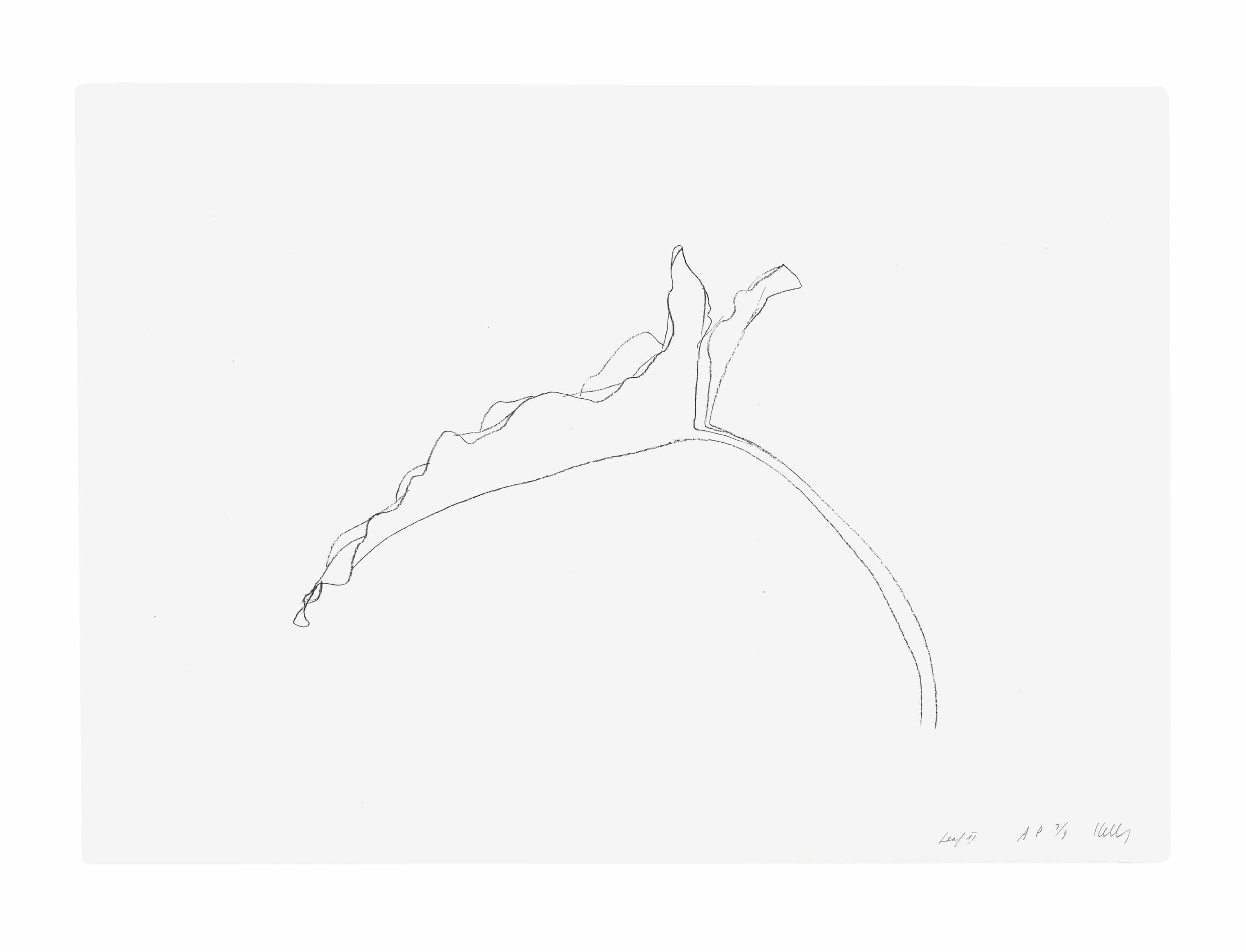 Ellsworth Kelly — Листья, из двенадцати листьев