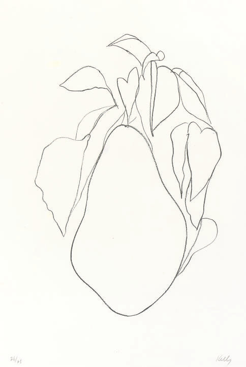 Ellsworth Kelly — Груша I, из серии литографий растений (А. 45)