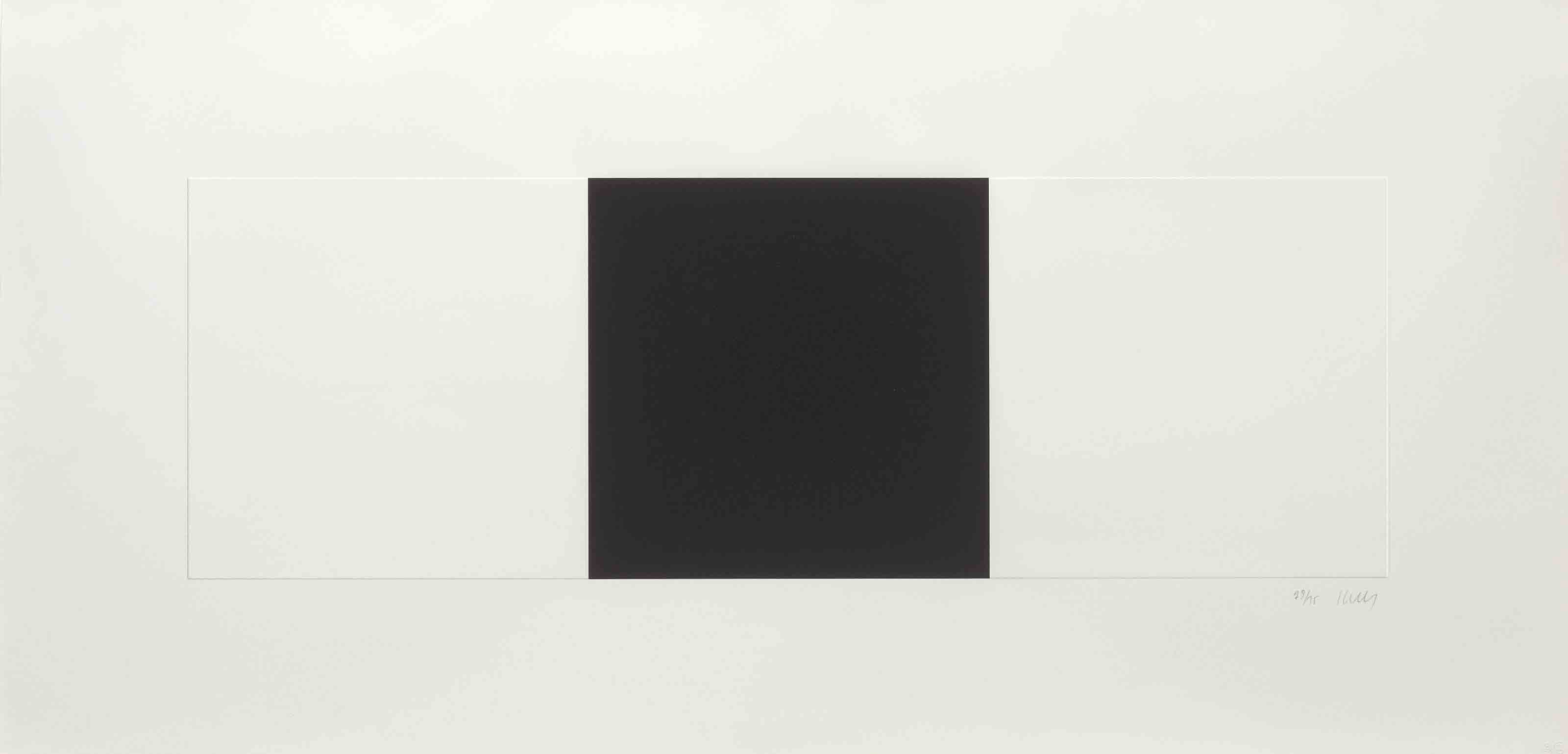 Ellsworth Kelly — Два белых и черный (Axsom 85)