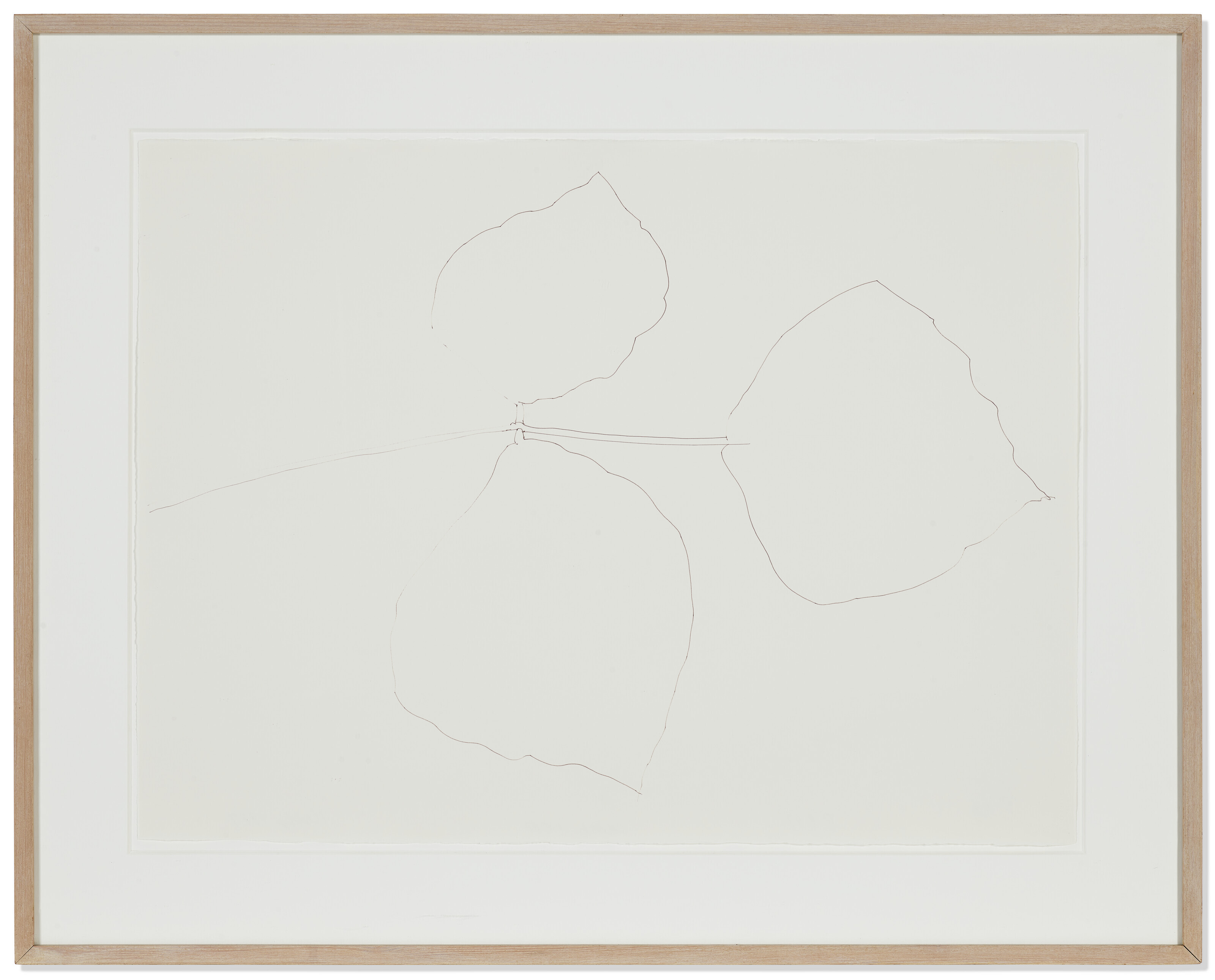 Ellsworth Kelly — Коралловый лист 5, изображение 2