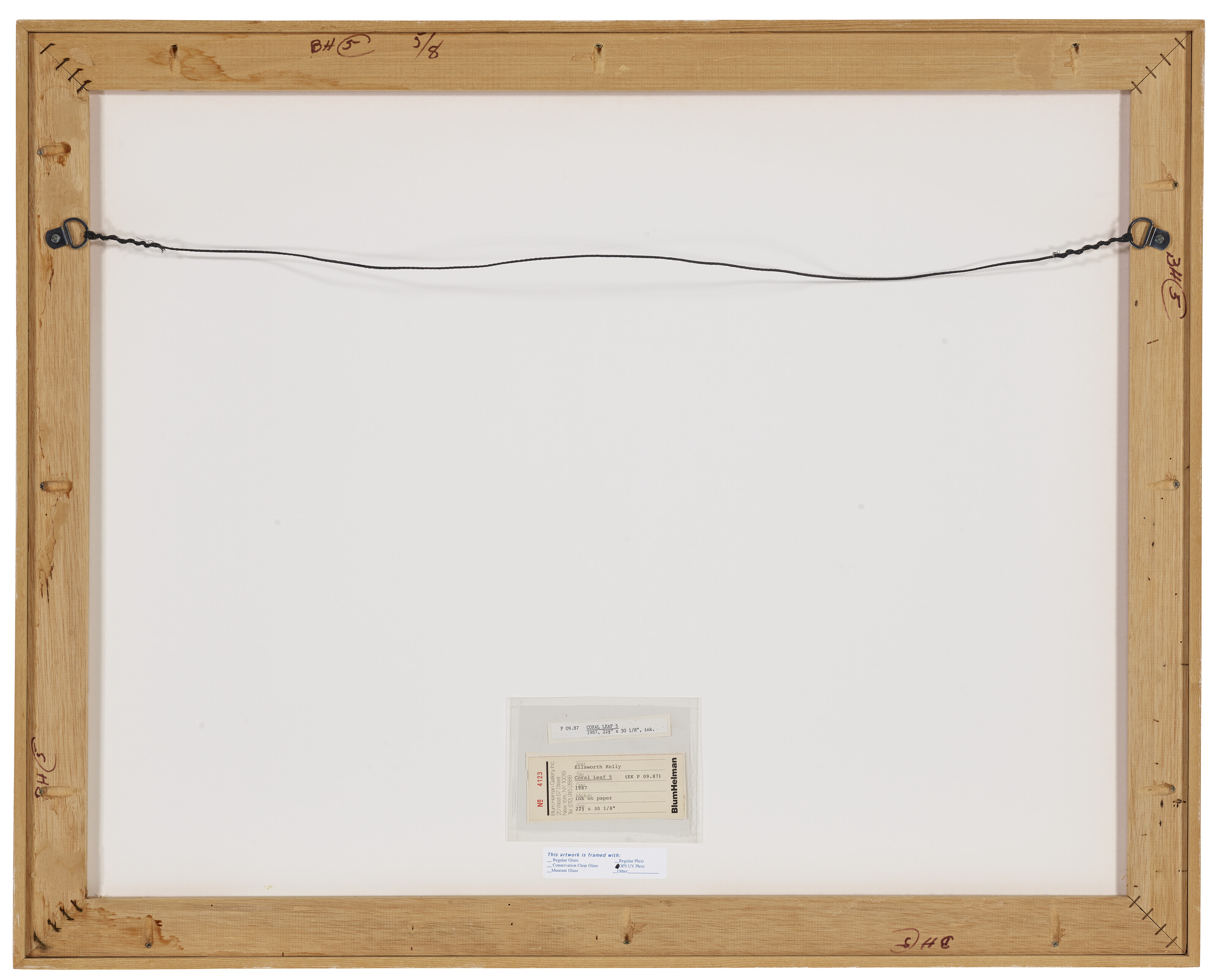Ellsworth Kelly — Коралловый лист 5, изображение 3