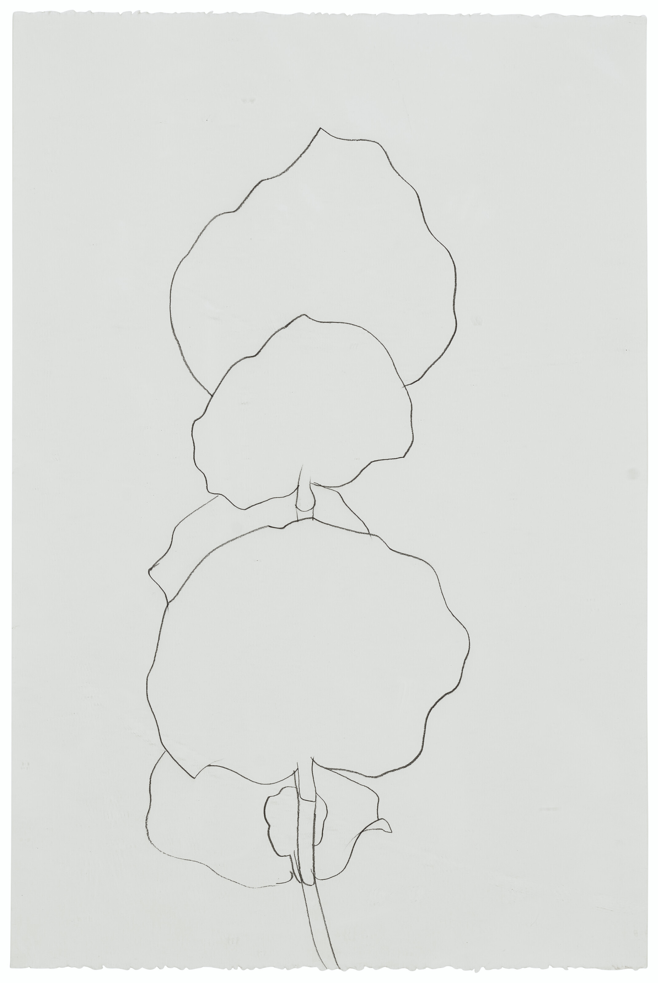 Ellsworth Kelly — Пляжный завод