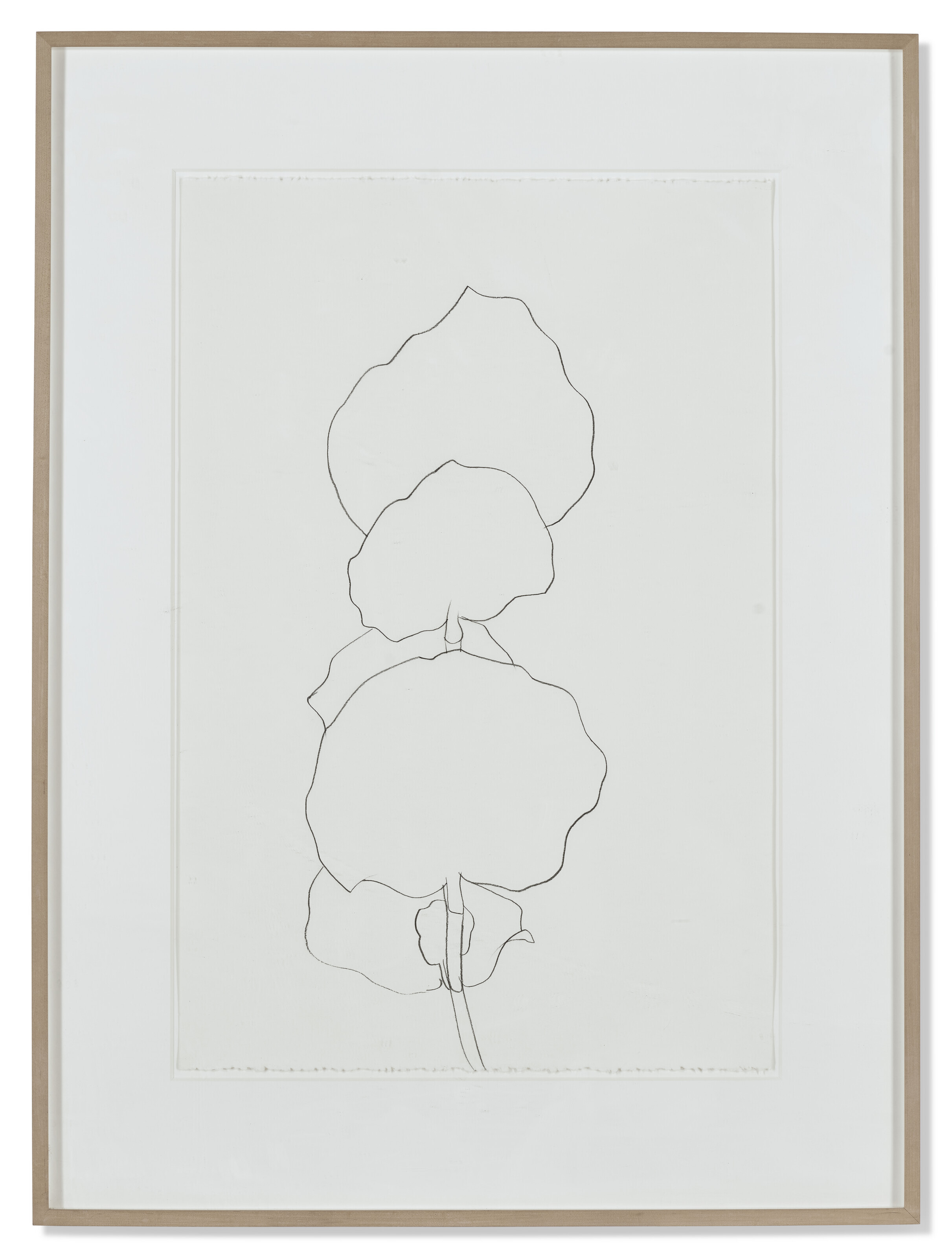 Ellsworth Kelly — Пляжный завод, изображение 2