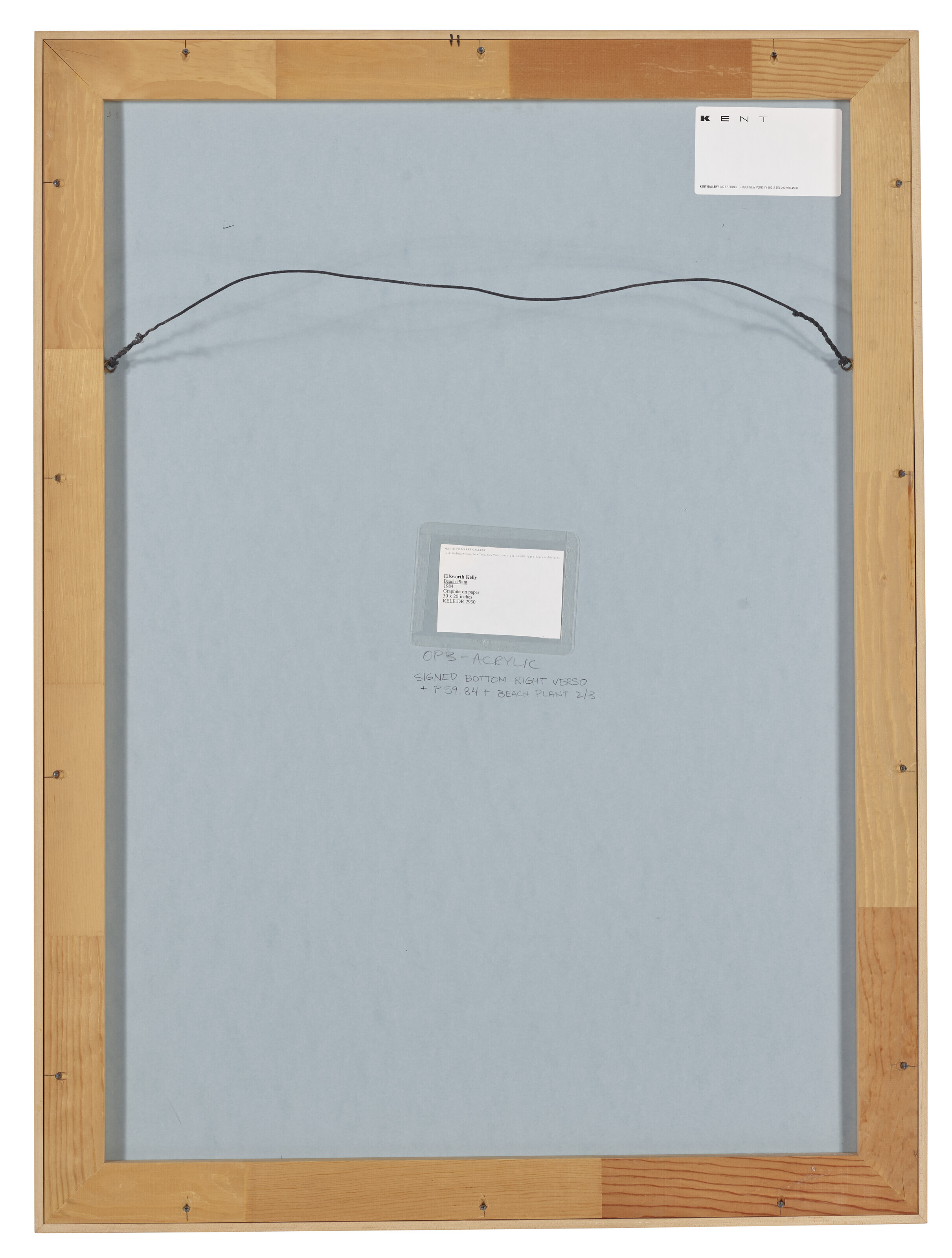 Ellsworth Kelly — Пляжный завод, изображение 3