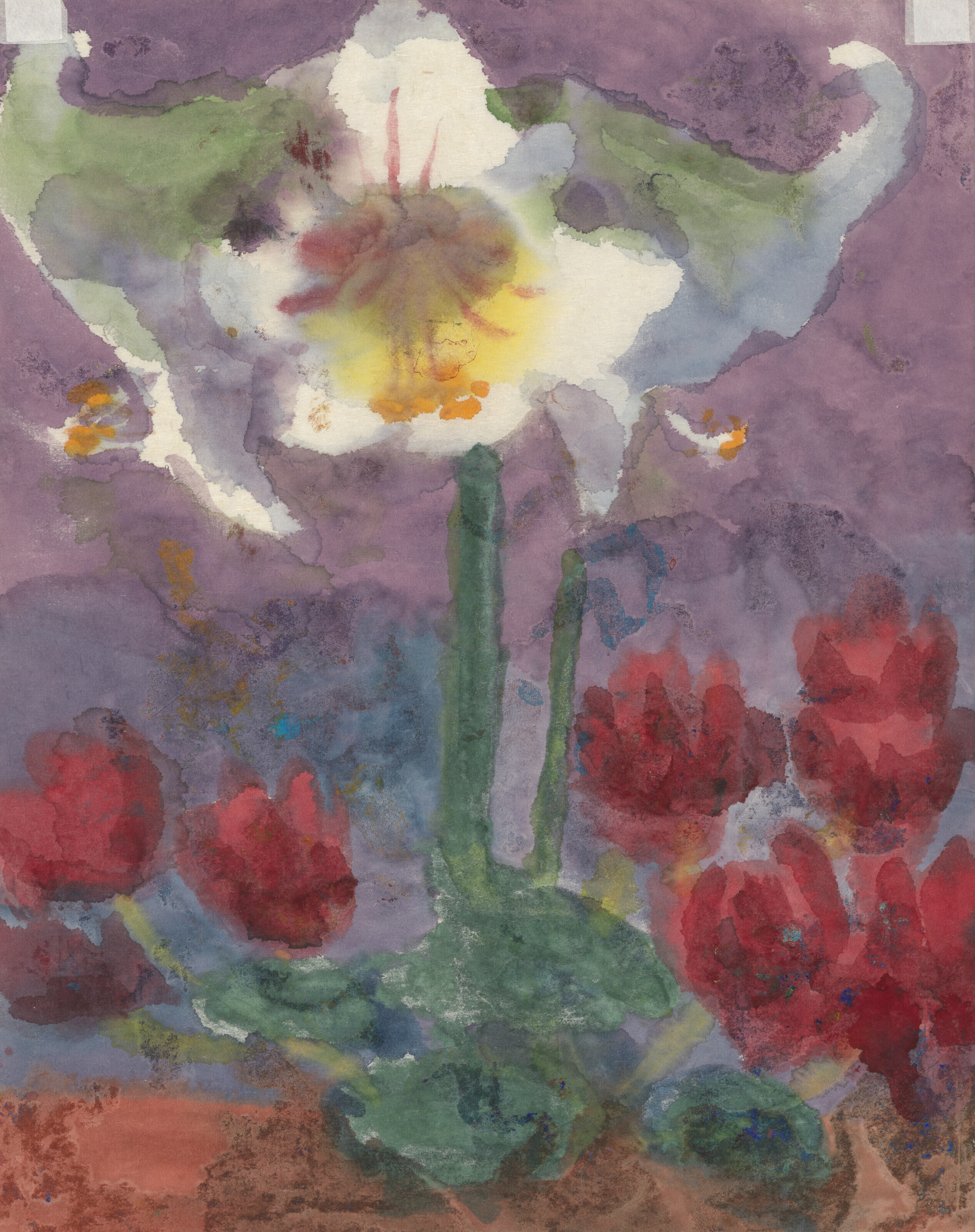 Emil Nolde — Вэй - это Амариллис и механический тюльпан, изображение 4