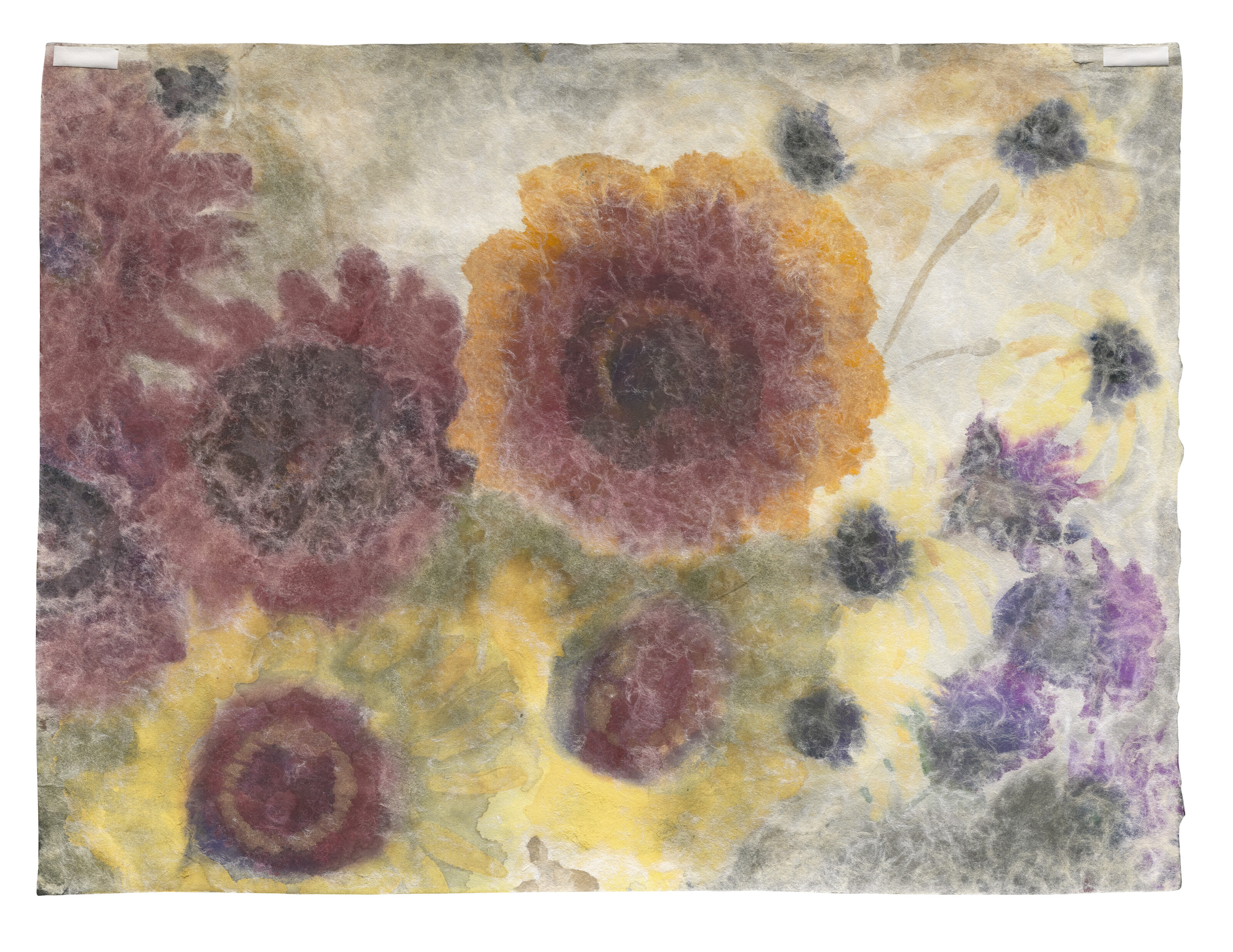 Emil Nolde — Зонненблюмен (желчь и гниль), изображение 3