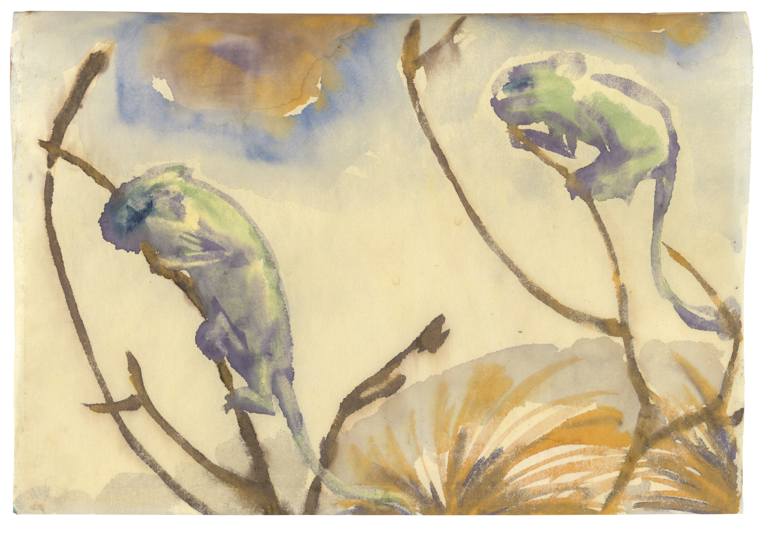 Emil Nolde — Цвей Хамелеон из аквариума, изображение 3