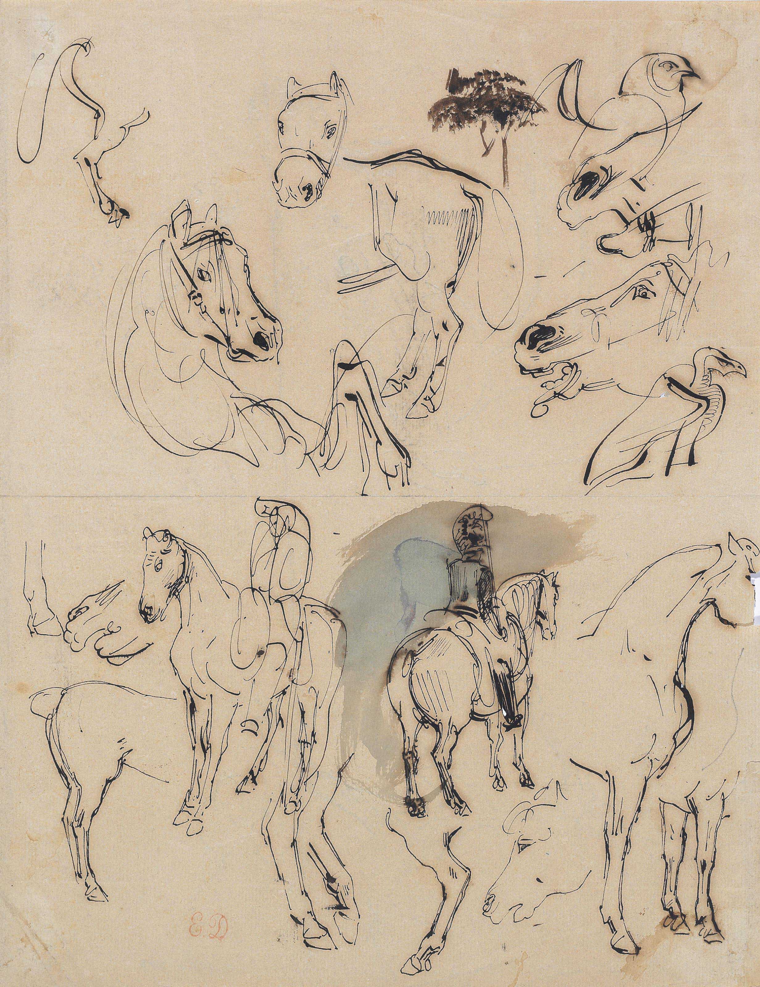 Eugène Delacroix — Лист с этюдами лошадей, всадников и двух птиц ( лицевая сторона ); Этюды лошадей ( оборотная сторона )
