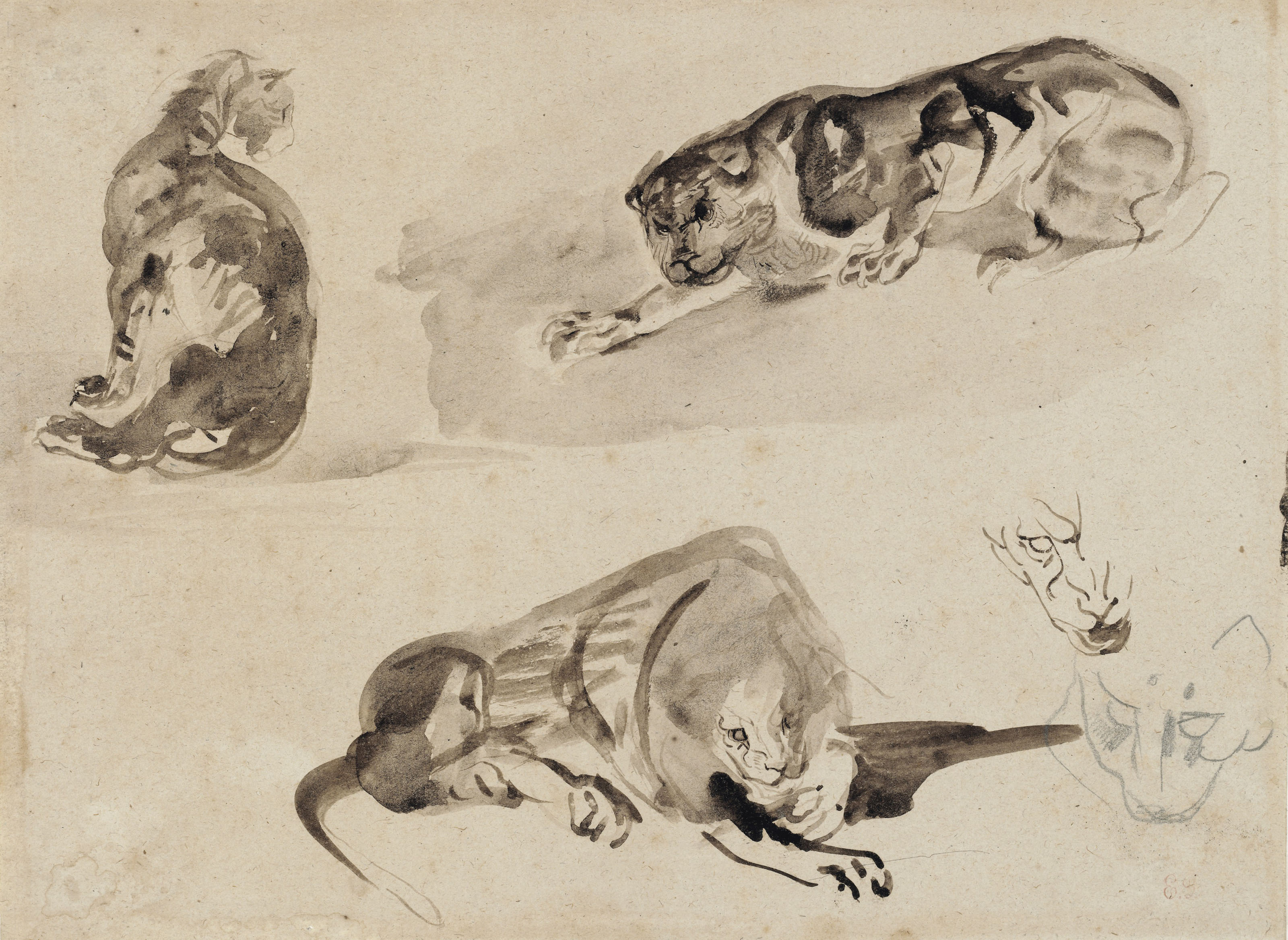 Eugène Delacroix — Этюды о разговоре с двумя львами, только два этюда о разговоре со львом