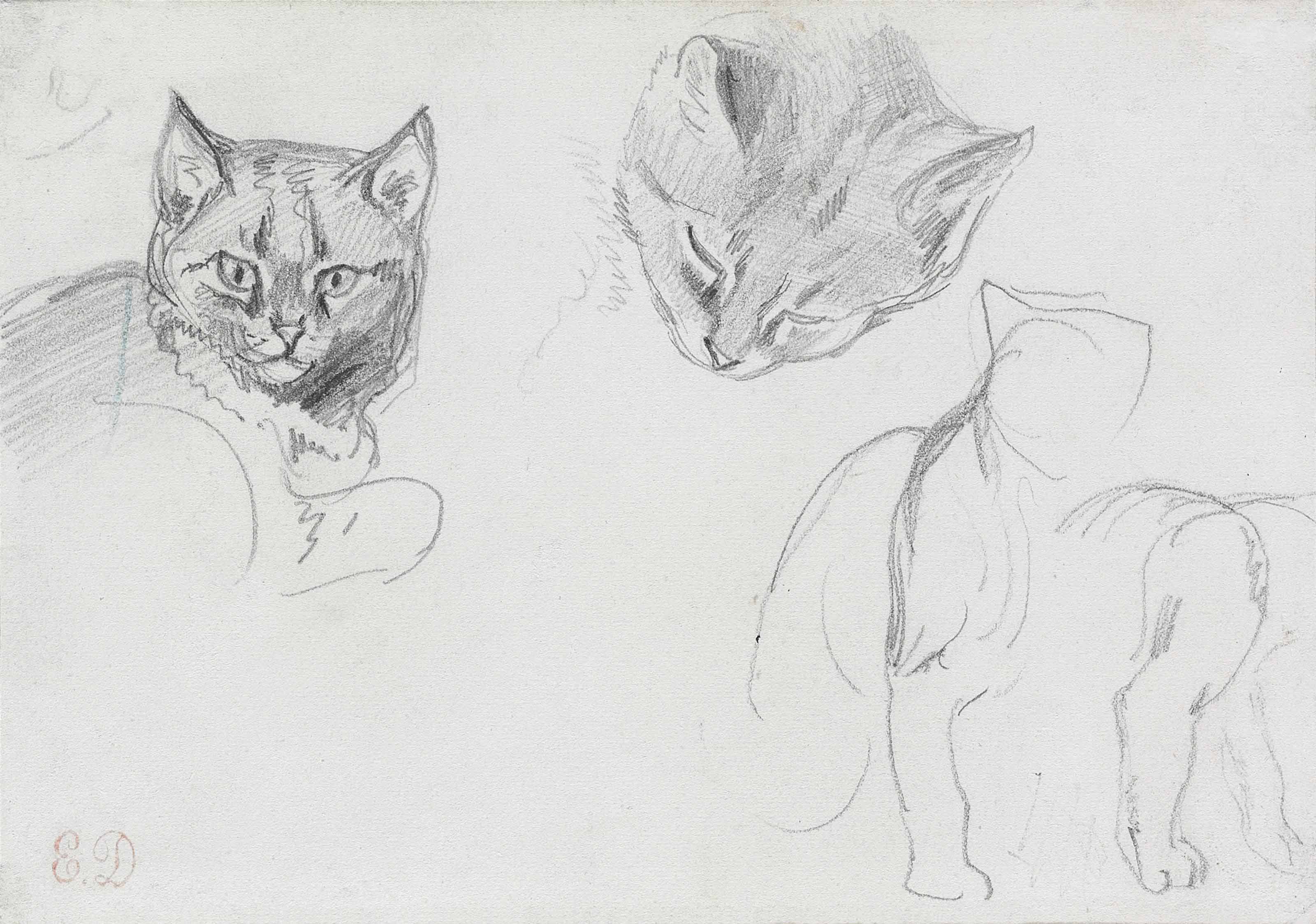 Eugène Delacroix — Два этюда кошачьей головы с дополнительными набросками сидящей кошки