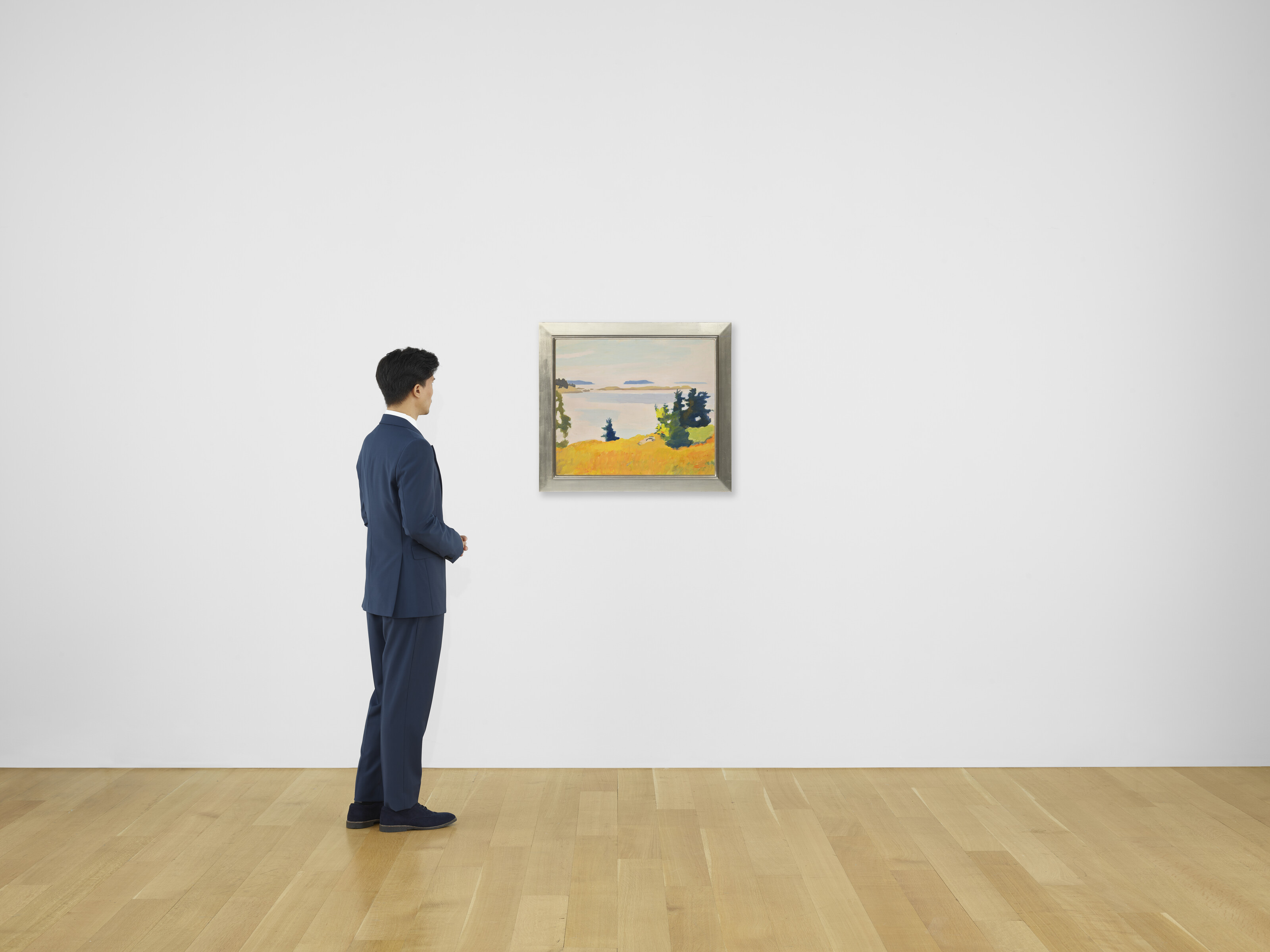 Fairfield Porter — Южный луг, Полдень, изображение 4
