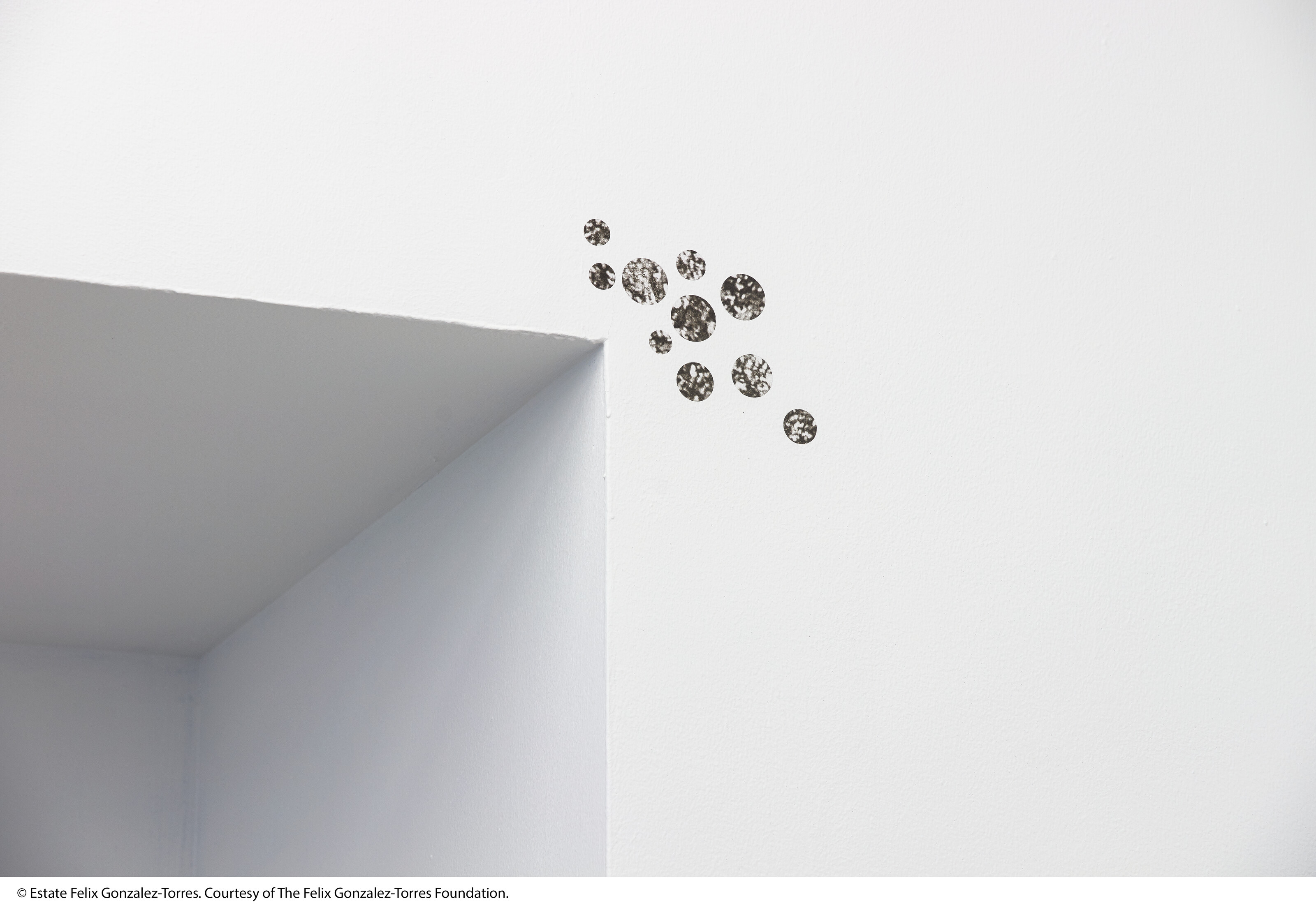 Felix Gonzalez-Torres — "Двойной страх", изображение 2