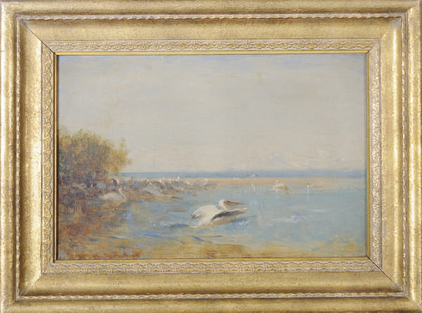 Felix Ziem — Пеликаны