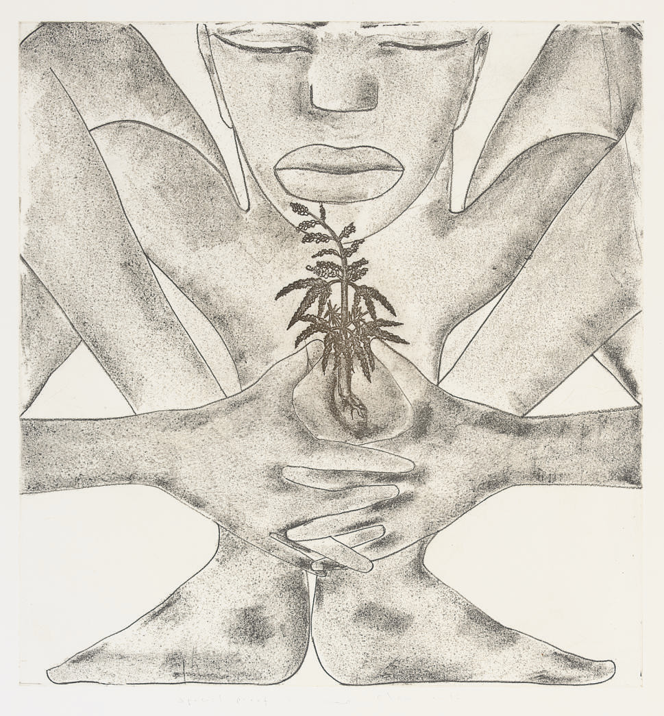 Francesco Clemente — География: Запад