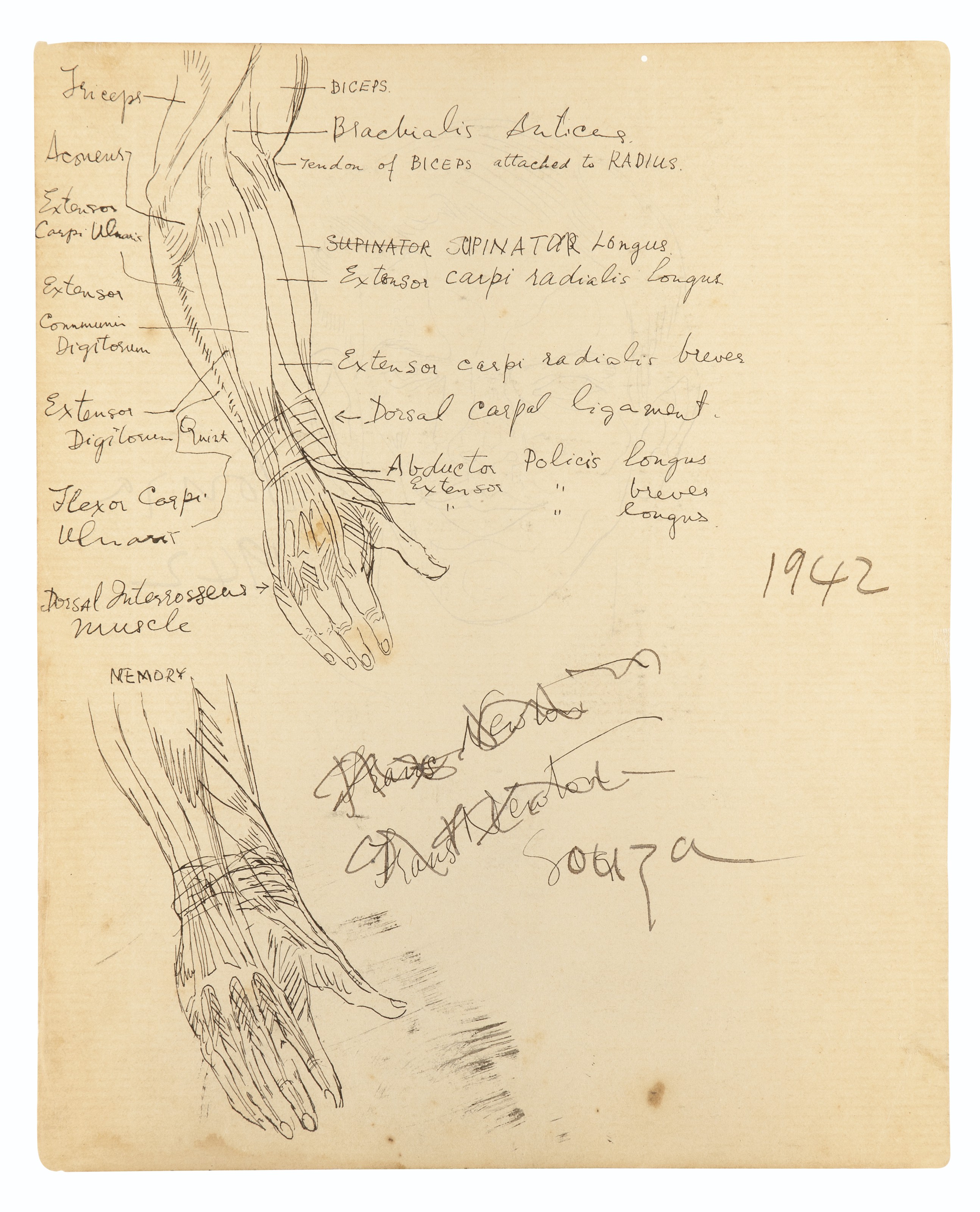 Francis Newton Souza — Без названия (автопортрет; Анатомический этюд), изображение 2