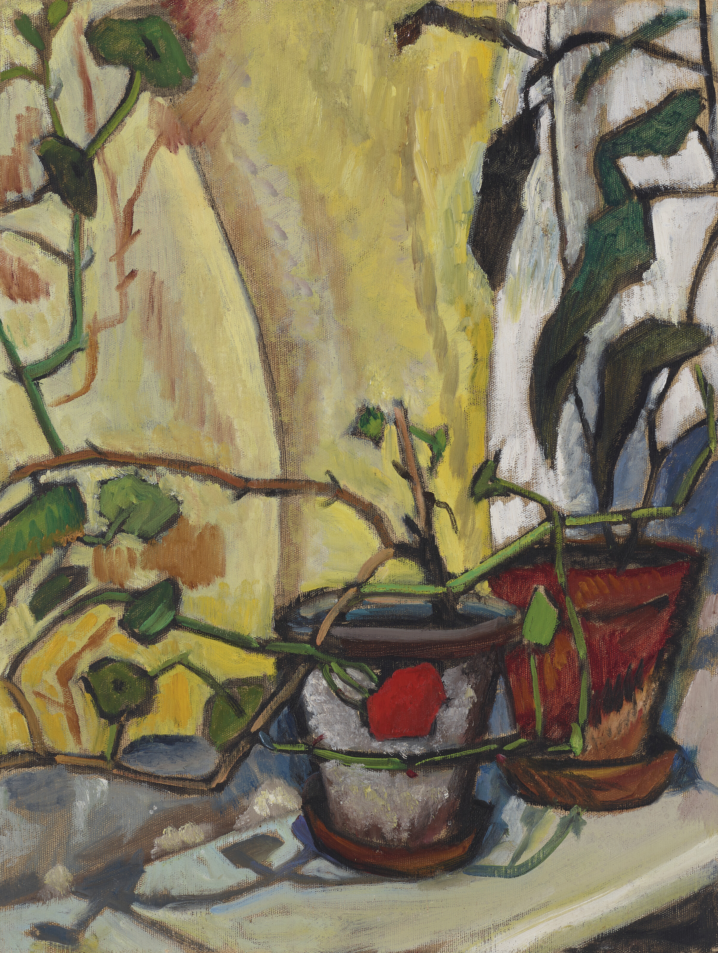 Gabriele Münter — Герань