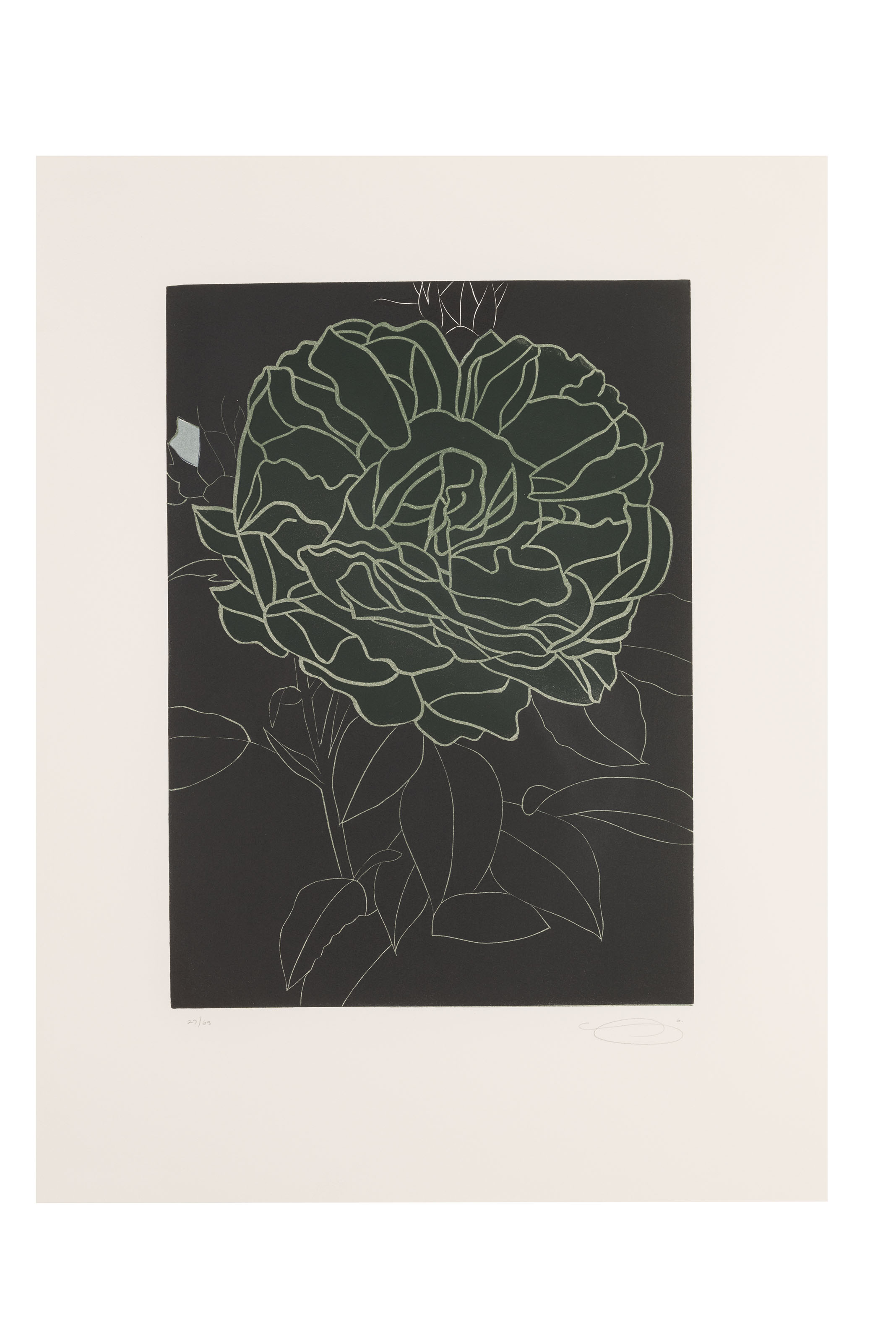 Gary Hume — Вот цветы, изображение 4