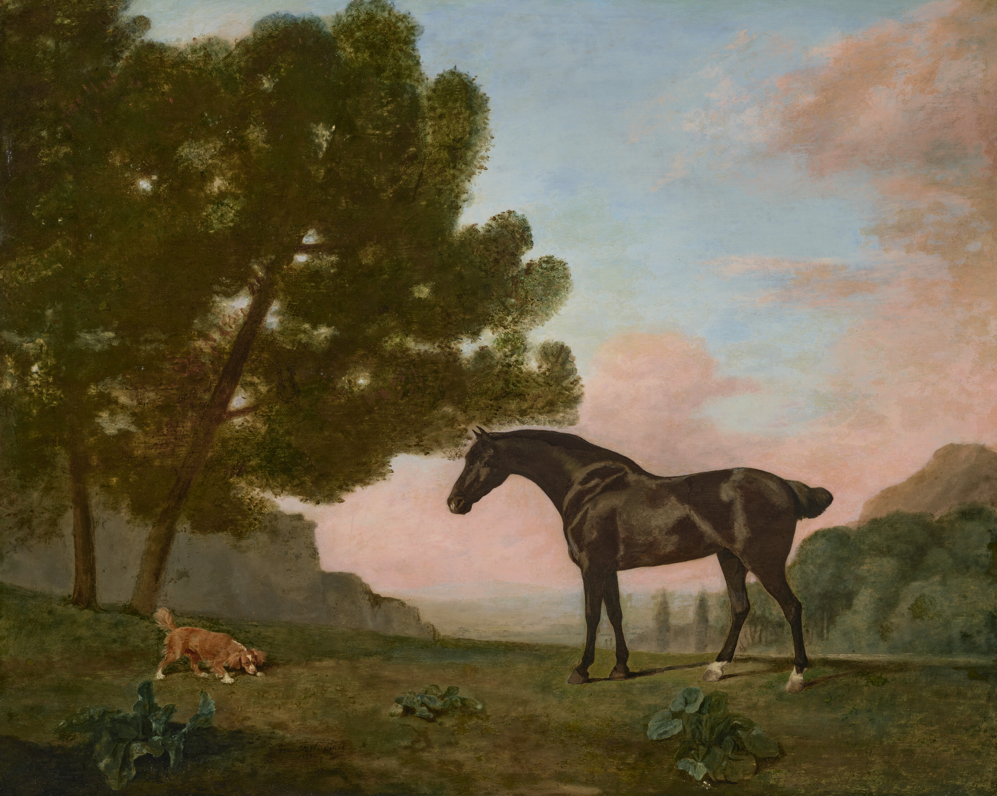 George Stubbs — Темно-гнедая лошадь, смотрящая налево, и золотистый спаниель, обнюхивающий землю, изображение 1