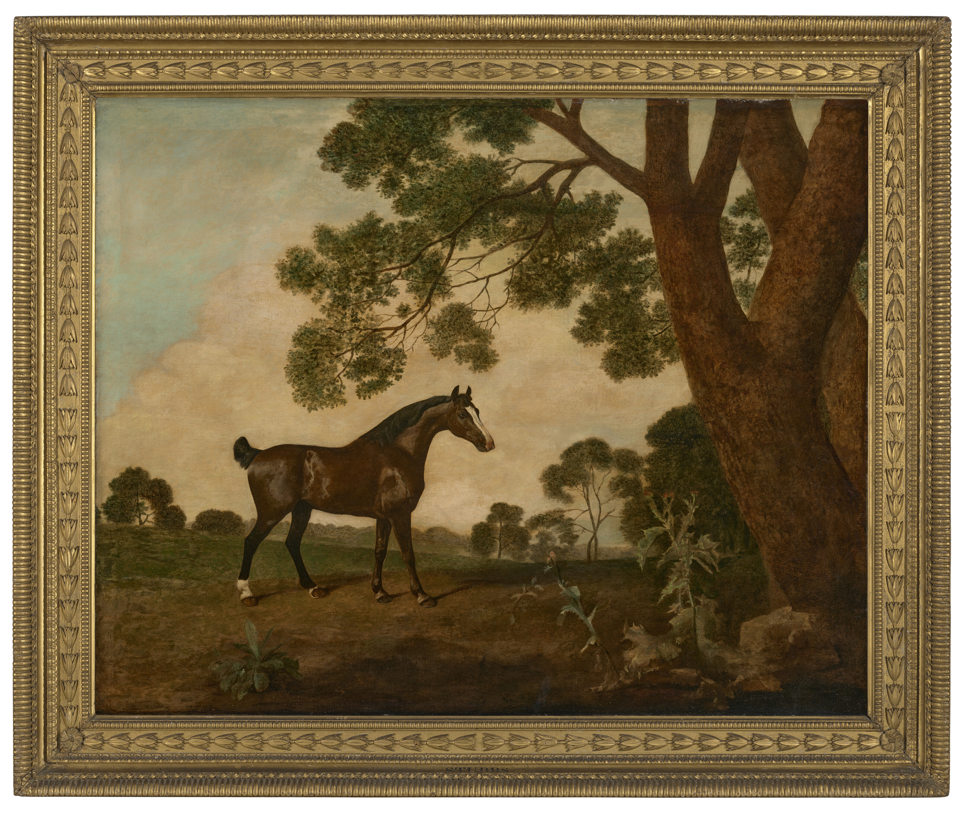 George Stubbs — Темно-гнедая лошадь, смотрящая направо, рядом с большим дубом, изображение 2