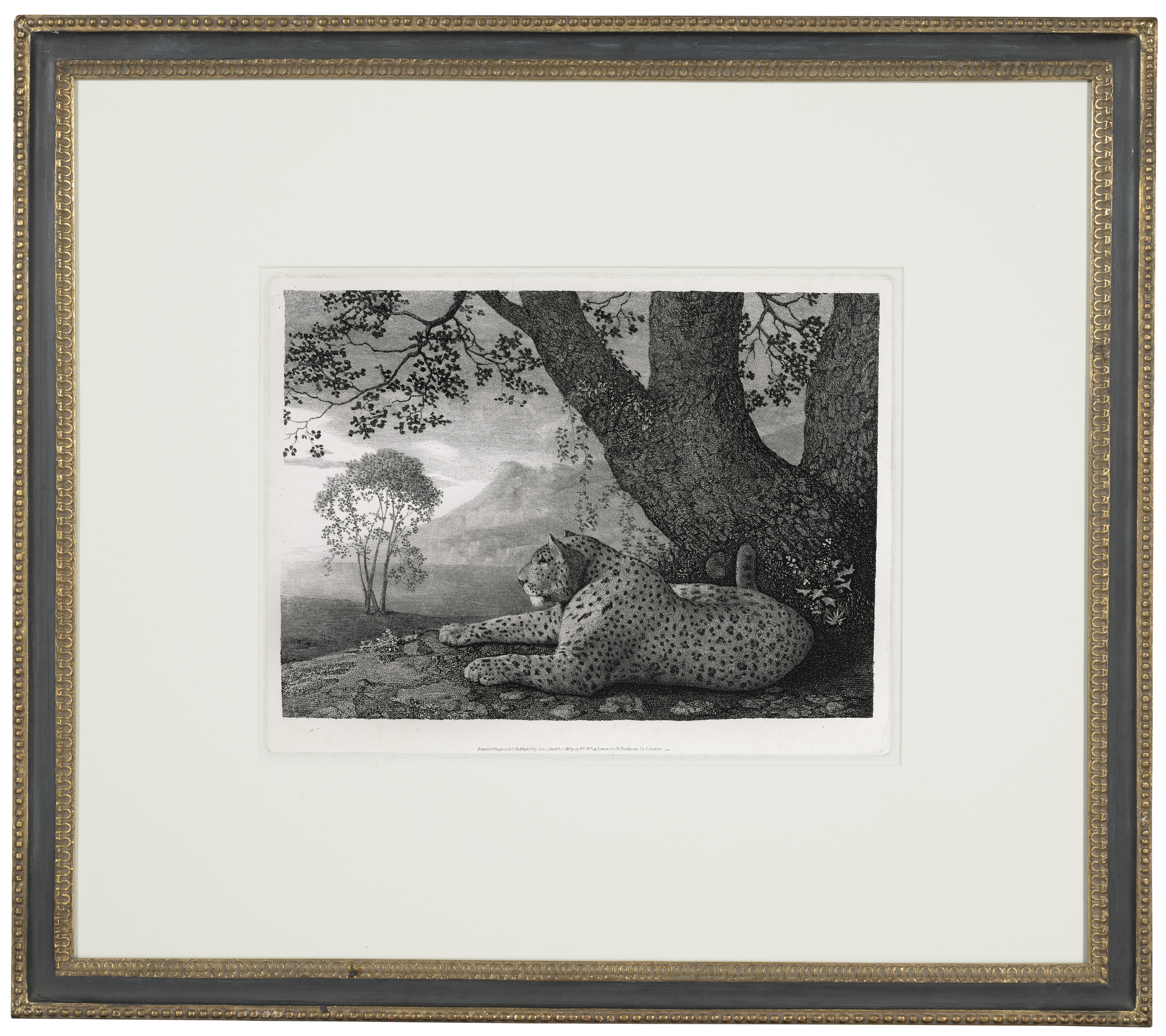 George Stubbs — Тигр (лежащий леопард у дерева), изображение 2