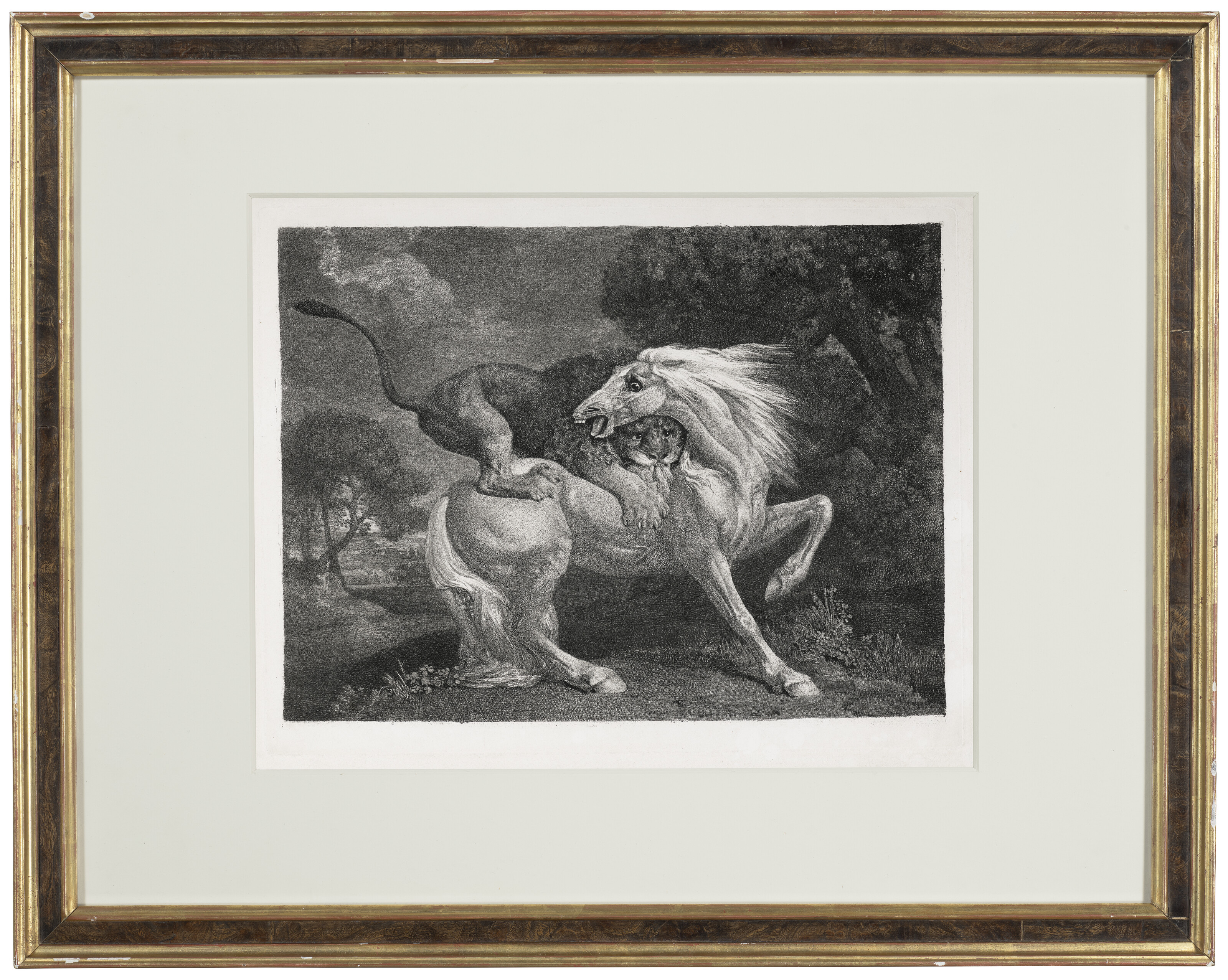 George Stubbs — Лев, пожирающий лошадь, изображение 2