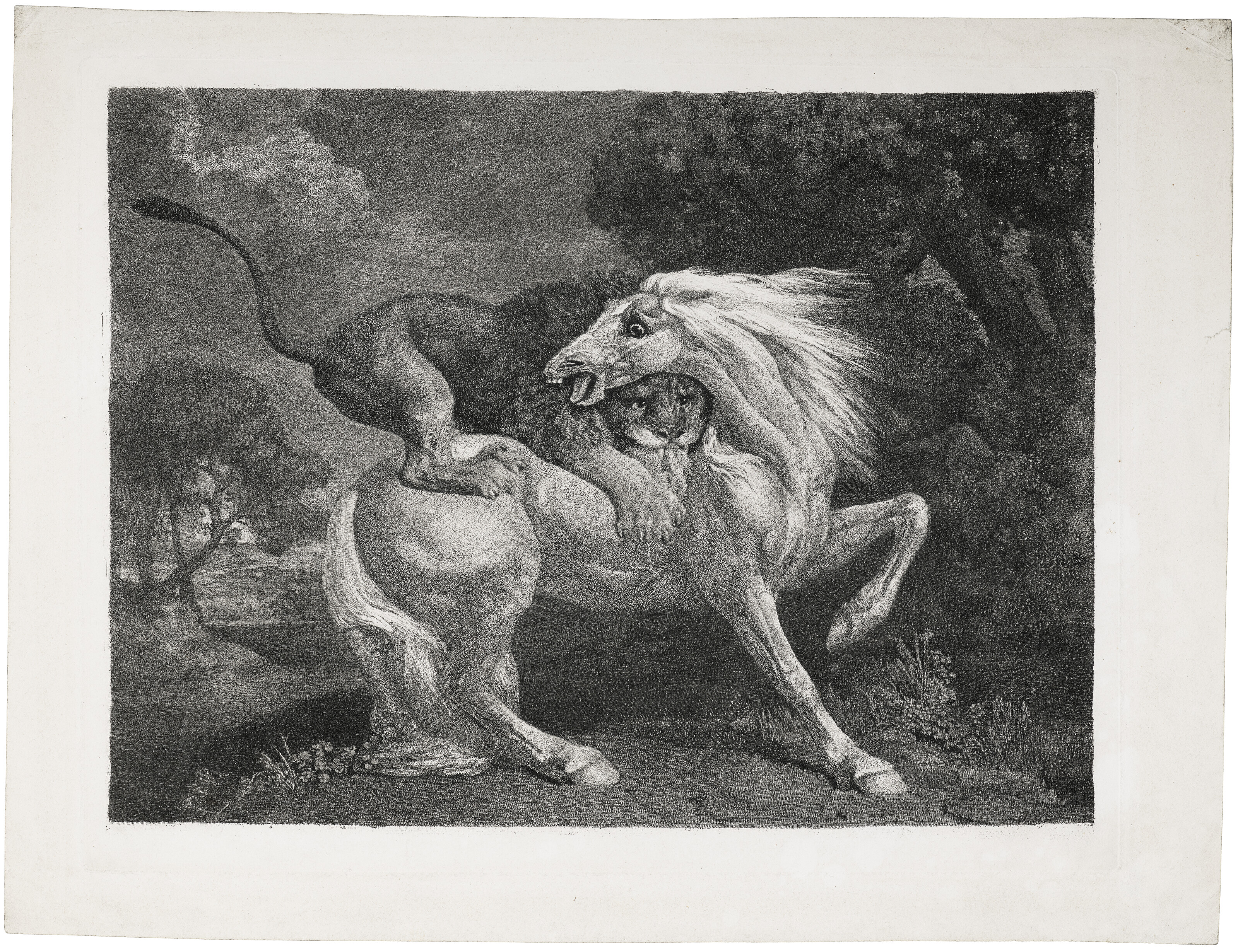 George Stubbs — Лев, пожирающий лошадь, изображение 3