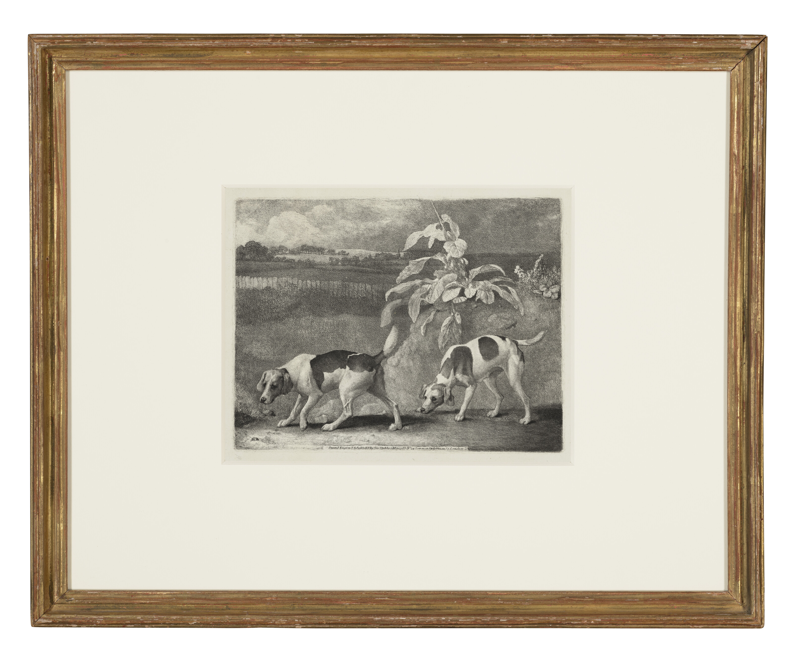George Stubbs — Две собаки, изображение 2