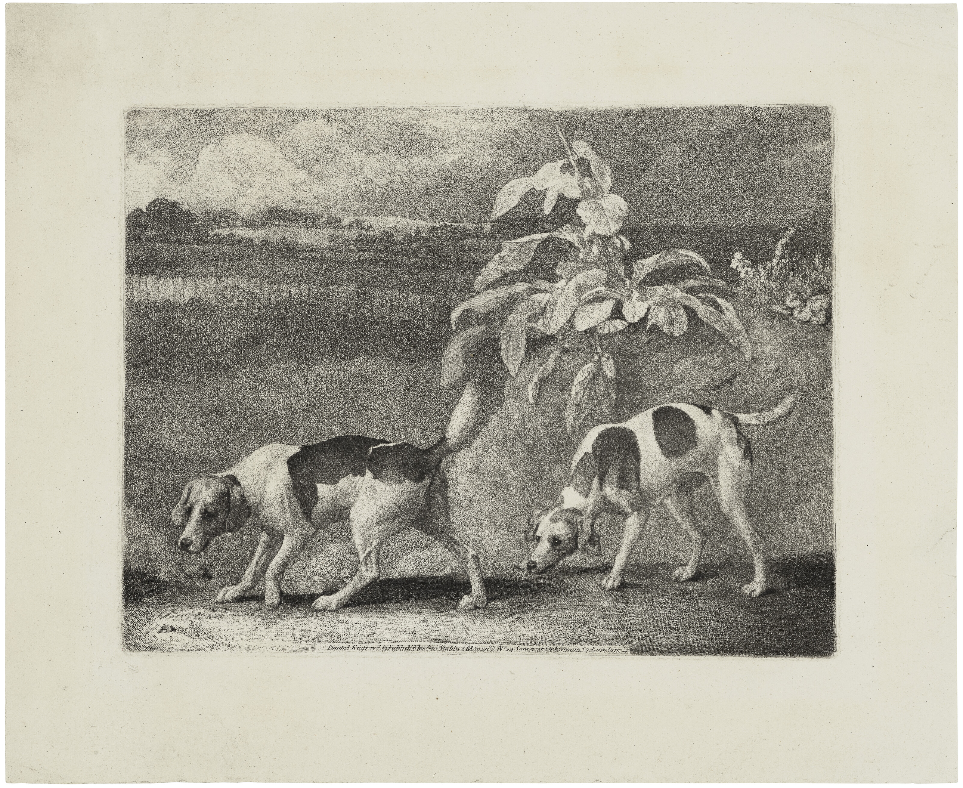 George Stubbs — Две собаки, изображение 3