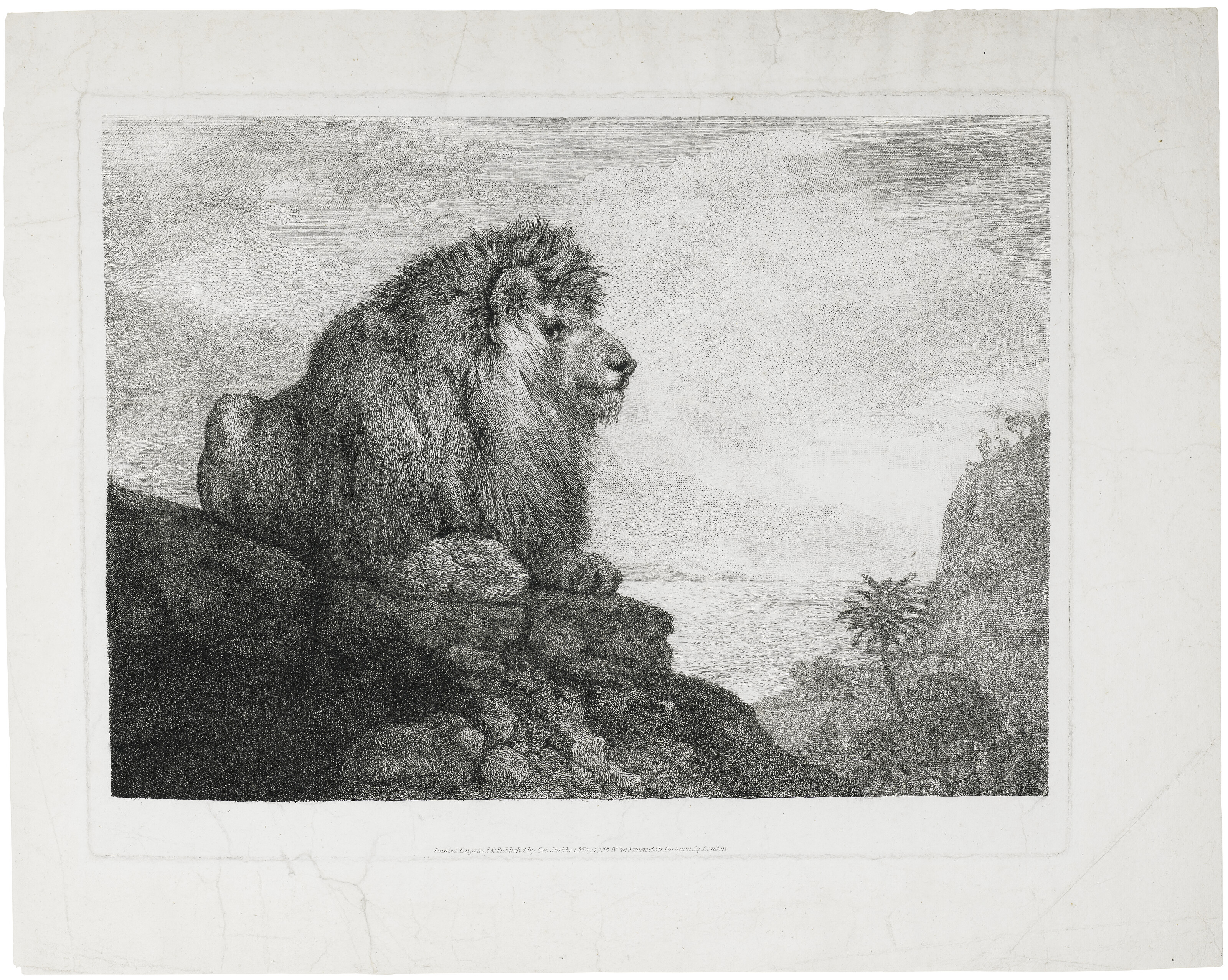 George Stubbs — Лев (Лев, отдыхающий на скале), изображение 3